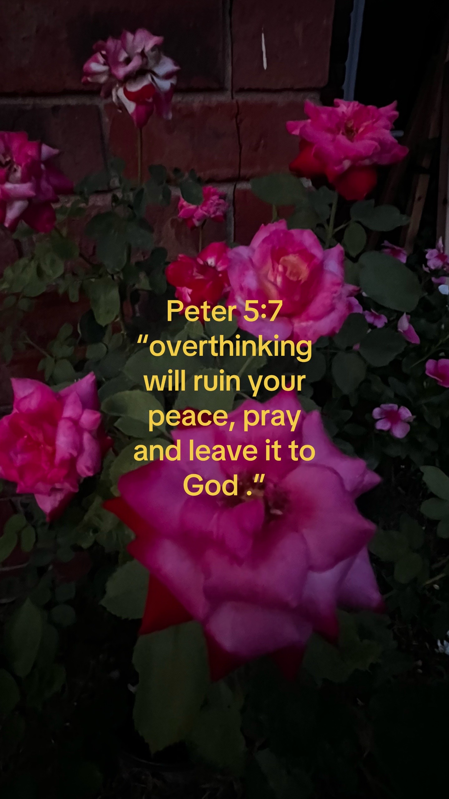@Jackie