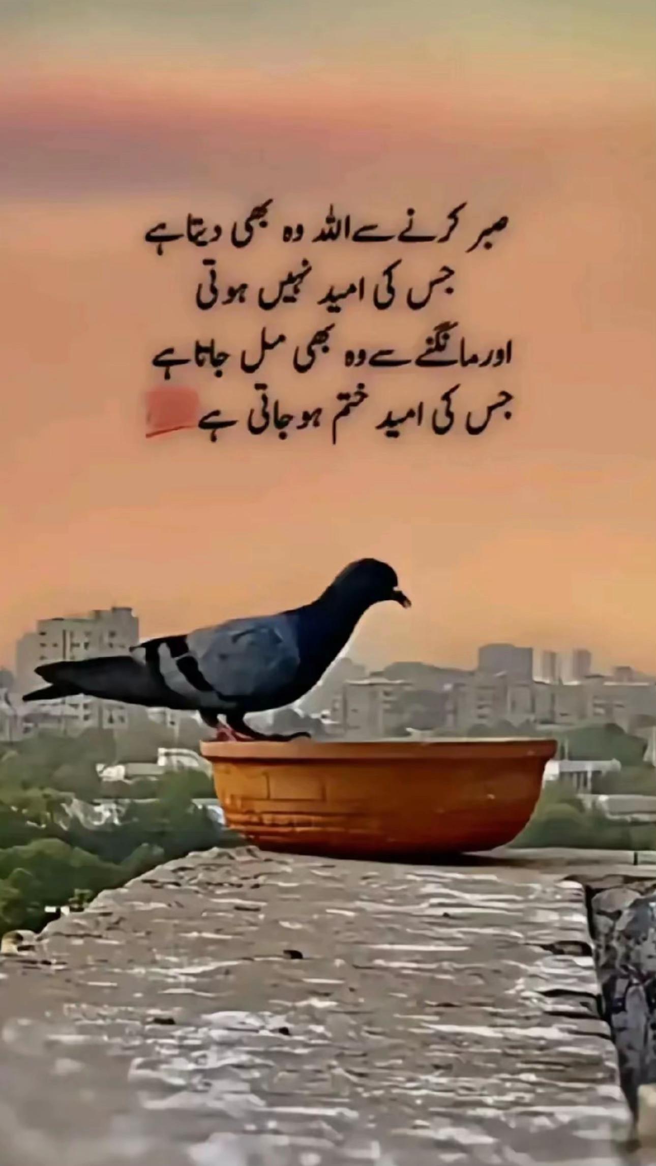 @Tahira