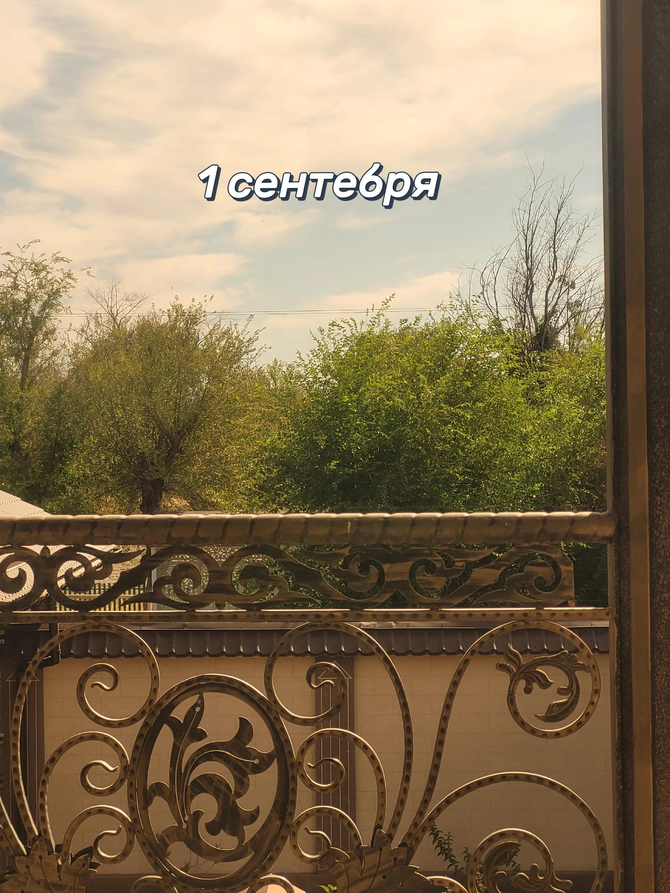 @𝑀𝑢𝑟𝑎𝑡 𝐴𝑙𝑖𝑛𝑢𝑟