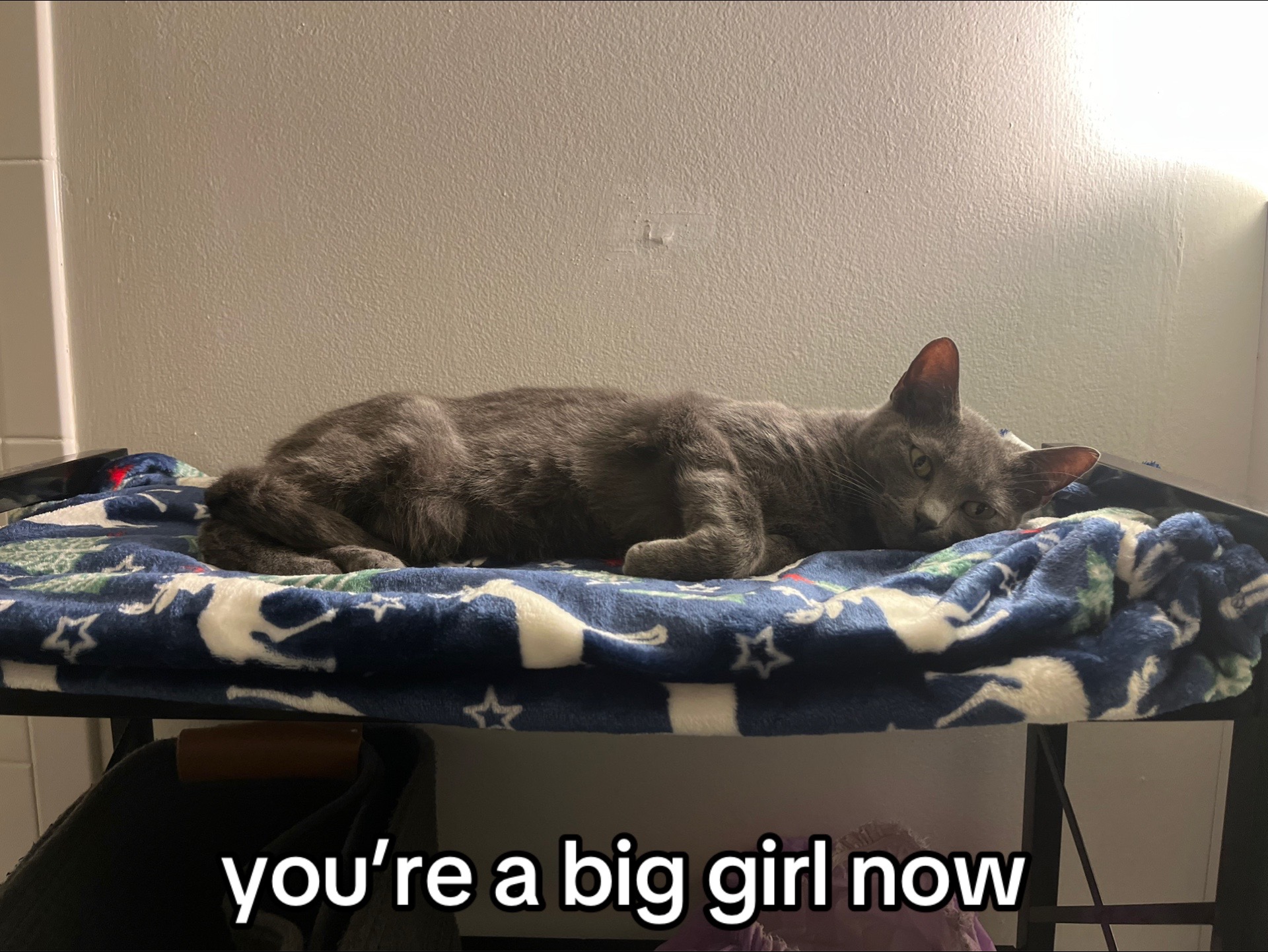 @katie:)