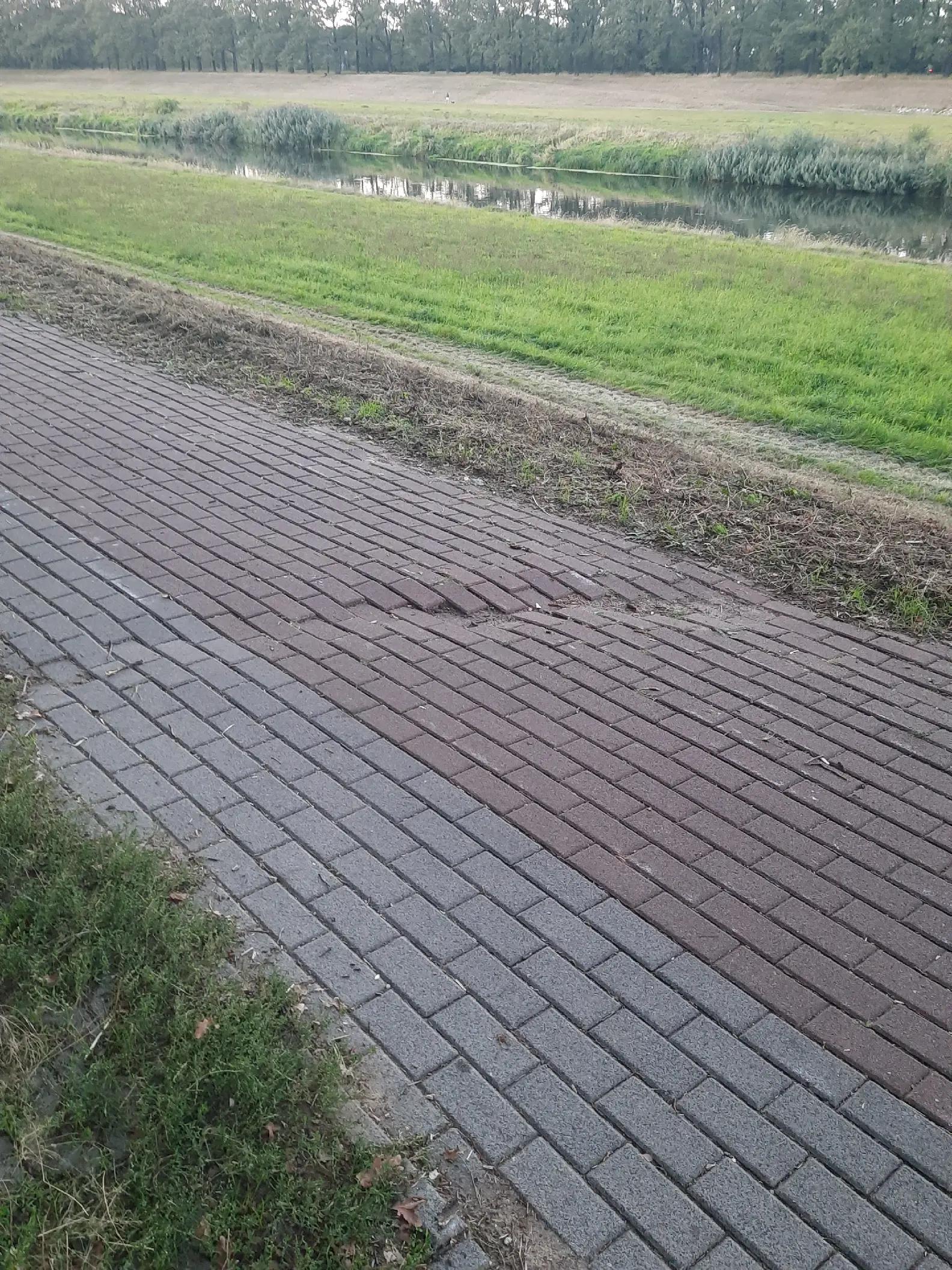 @👍ZgryzłoTczewZaR&oacute;g👎