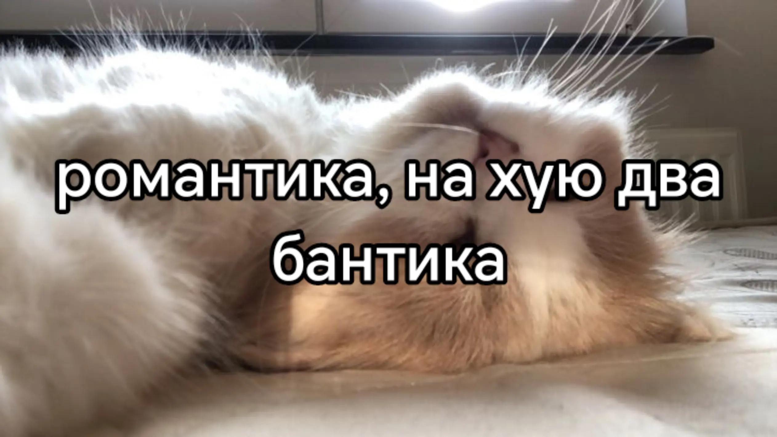 @лупикал