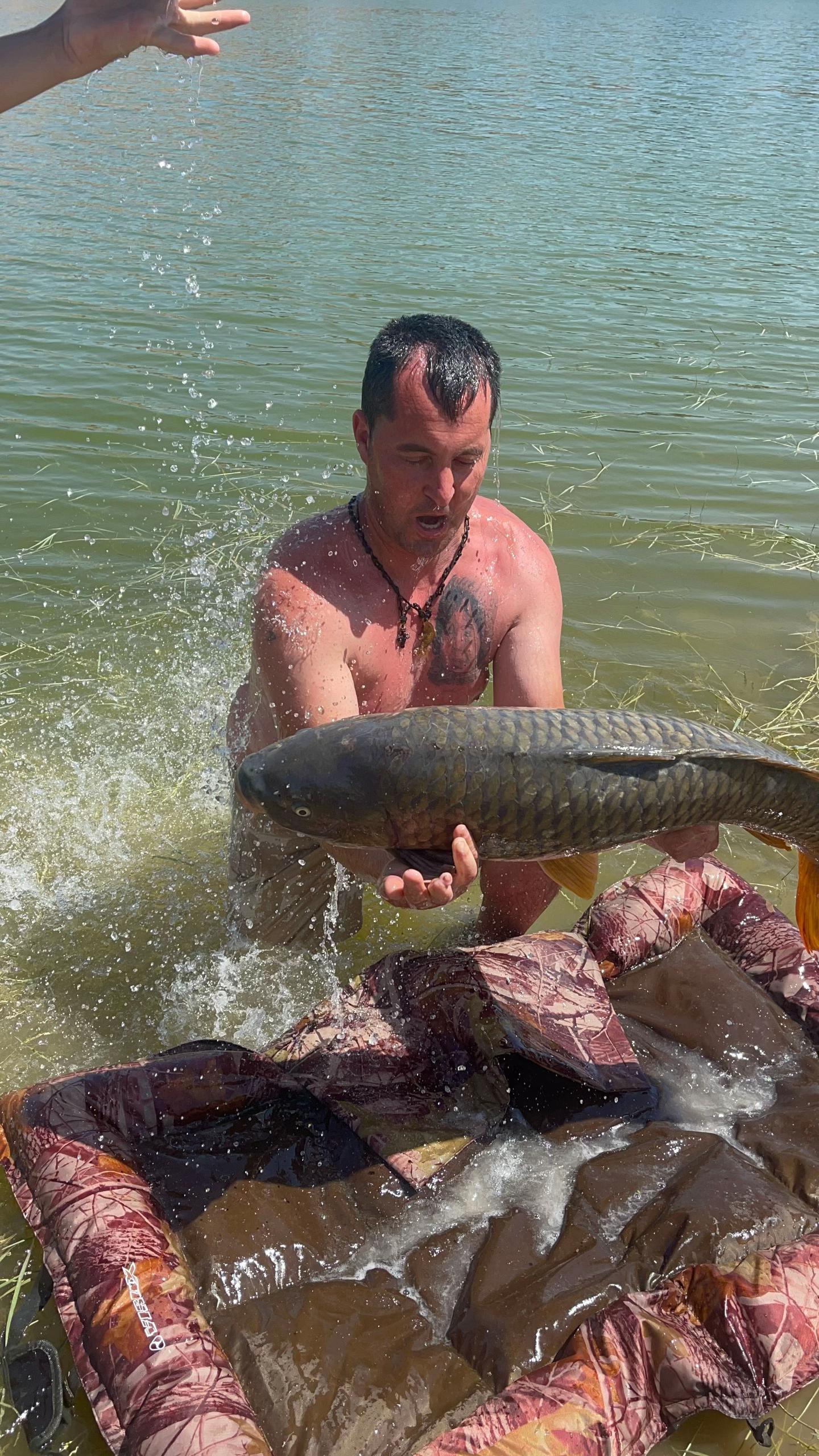 @Royal carp 🐟🐟🤩💪