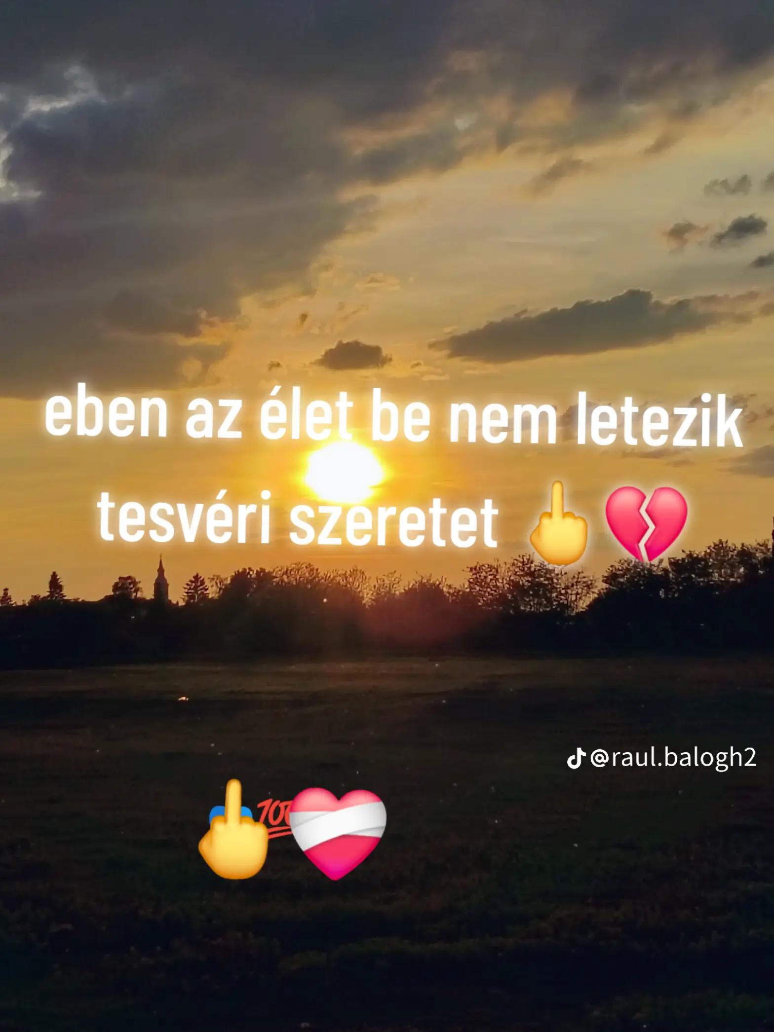 @🐍t&ouml;rpila💚