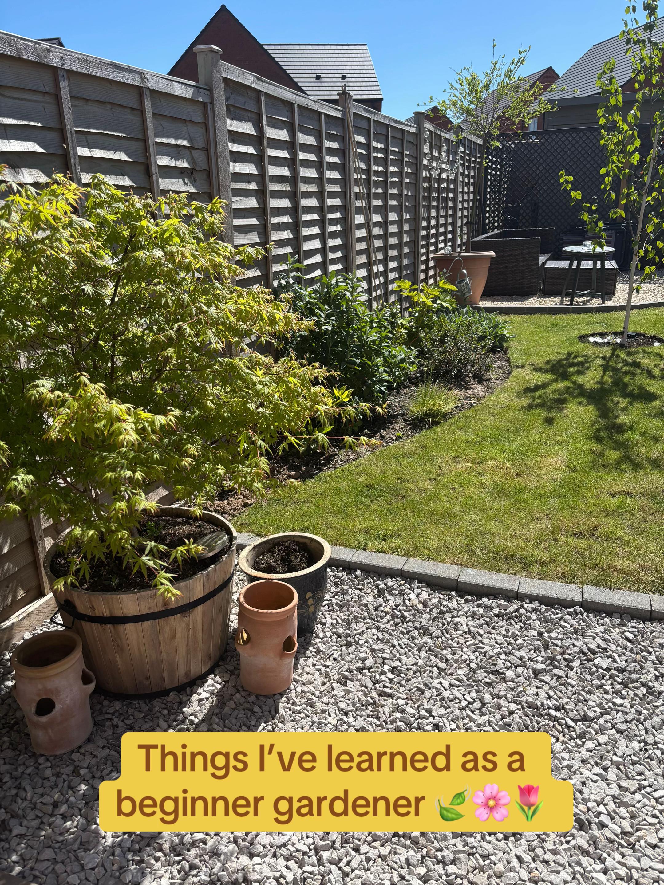 @Georgie | Gardening