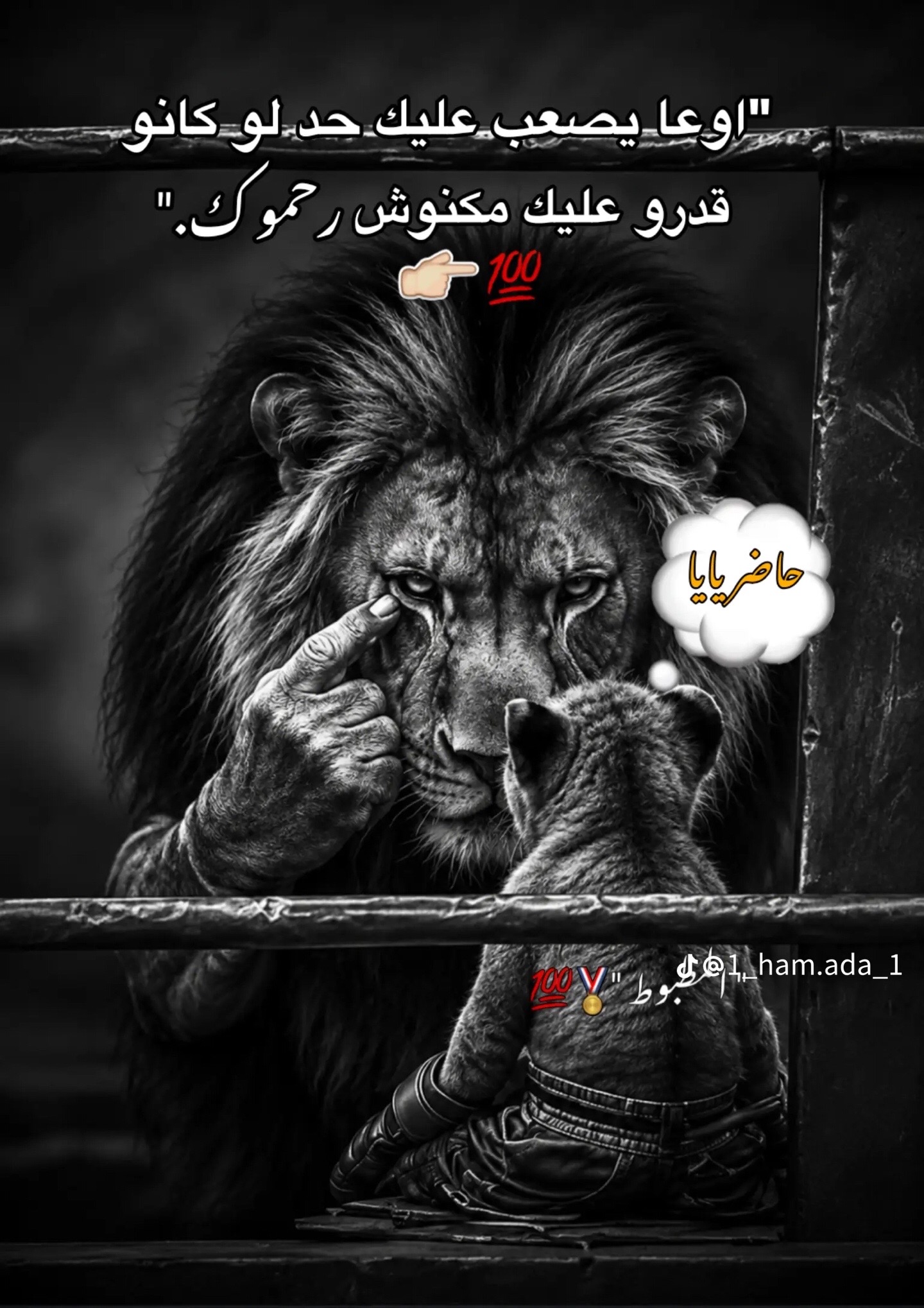 @Mohamed Khairy