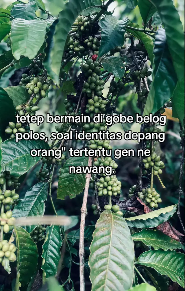 @dwikkkkk