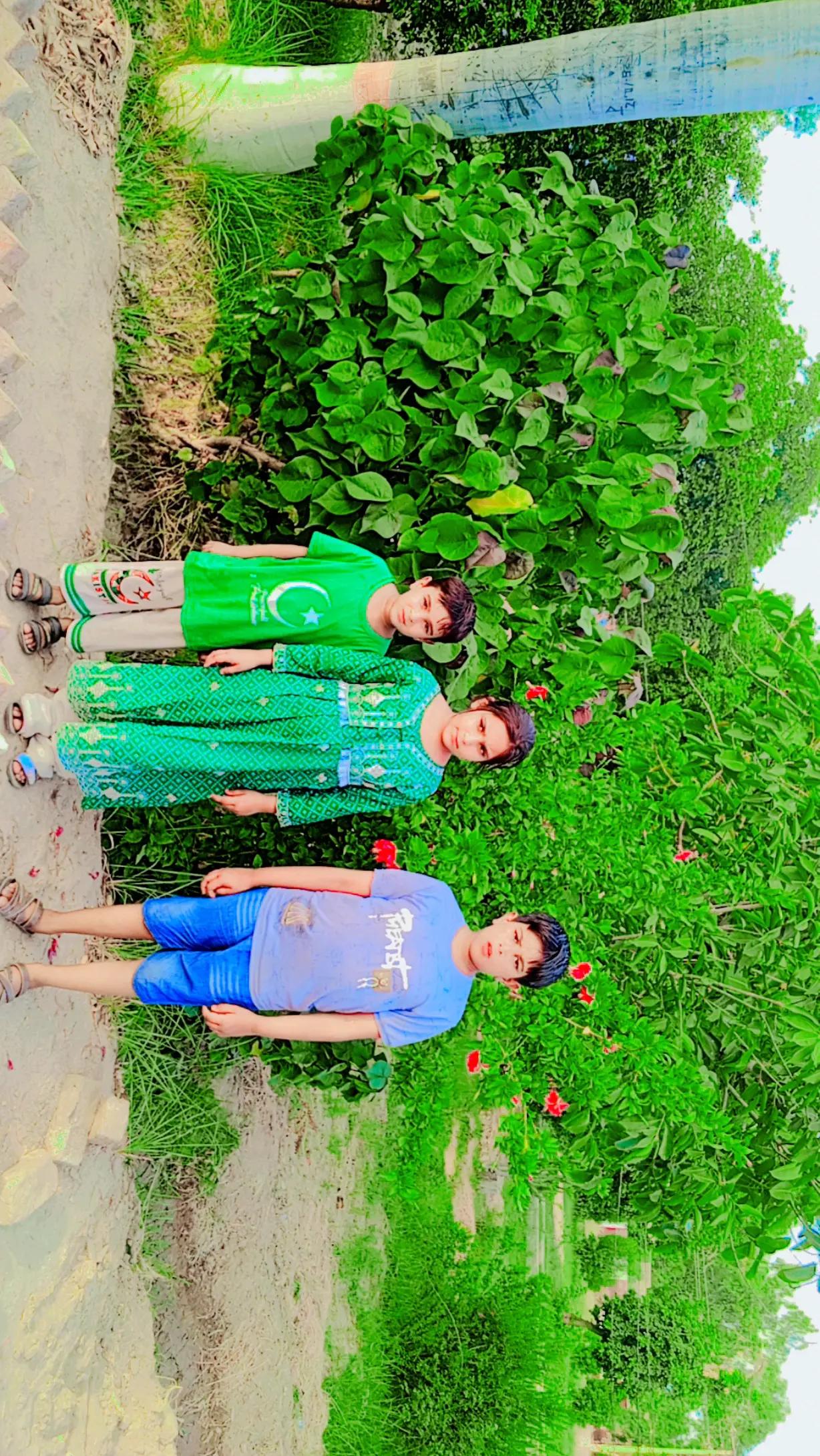 @Muhammad Qadeer