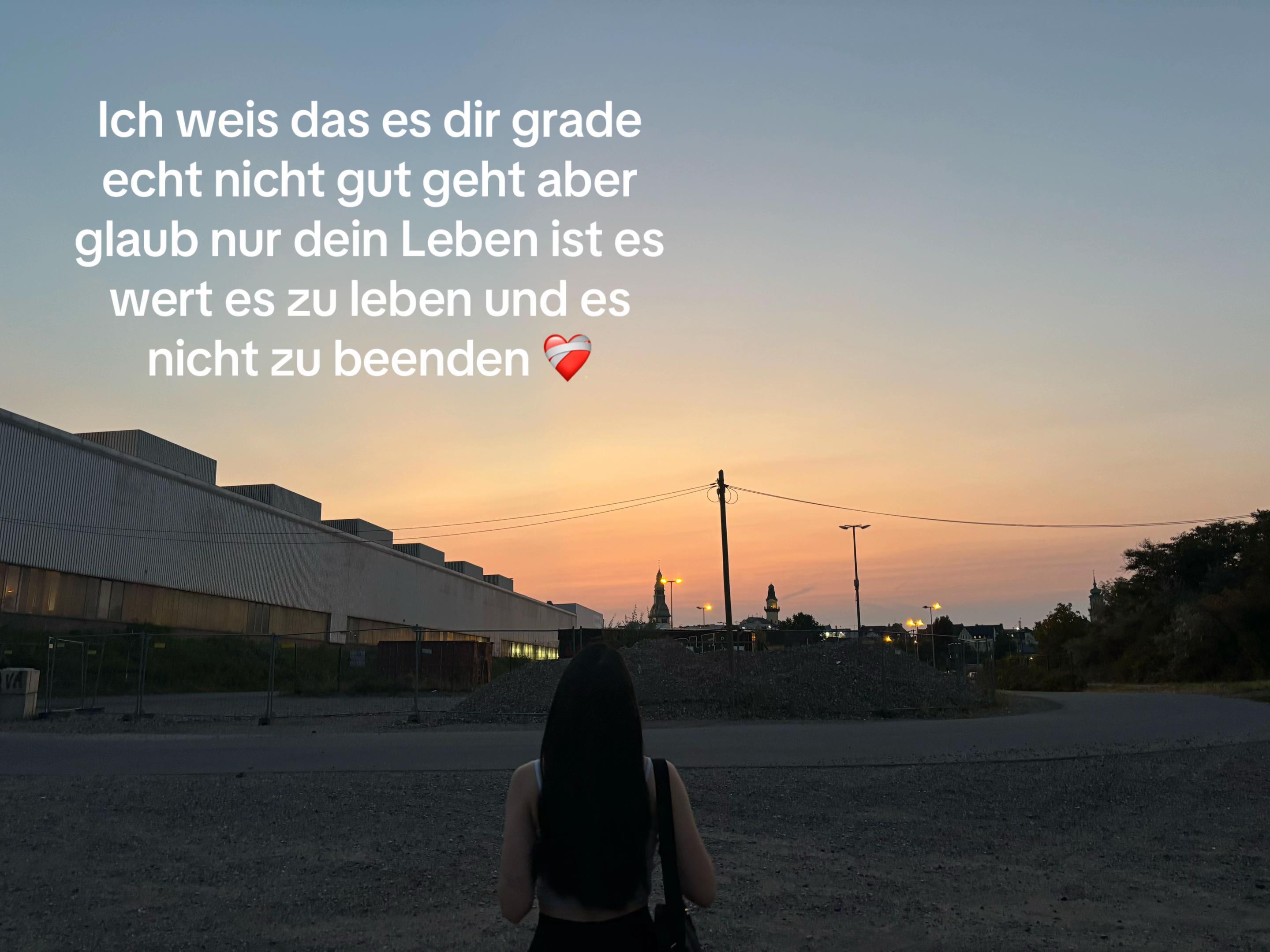 @🕊️