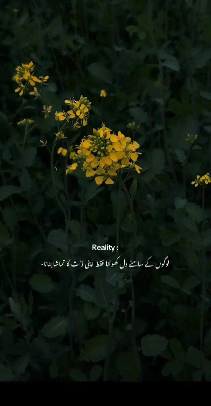 @Bint e Hyder