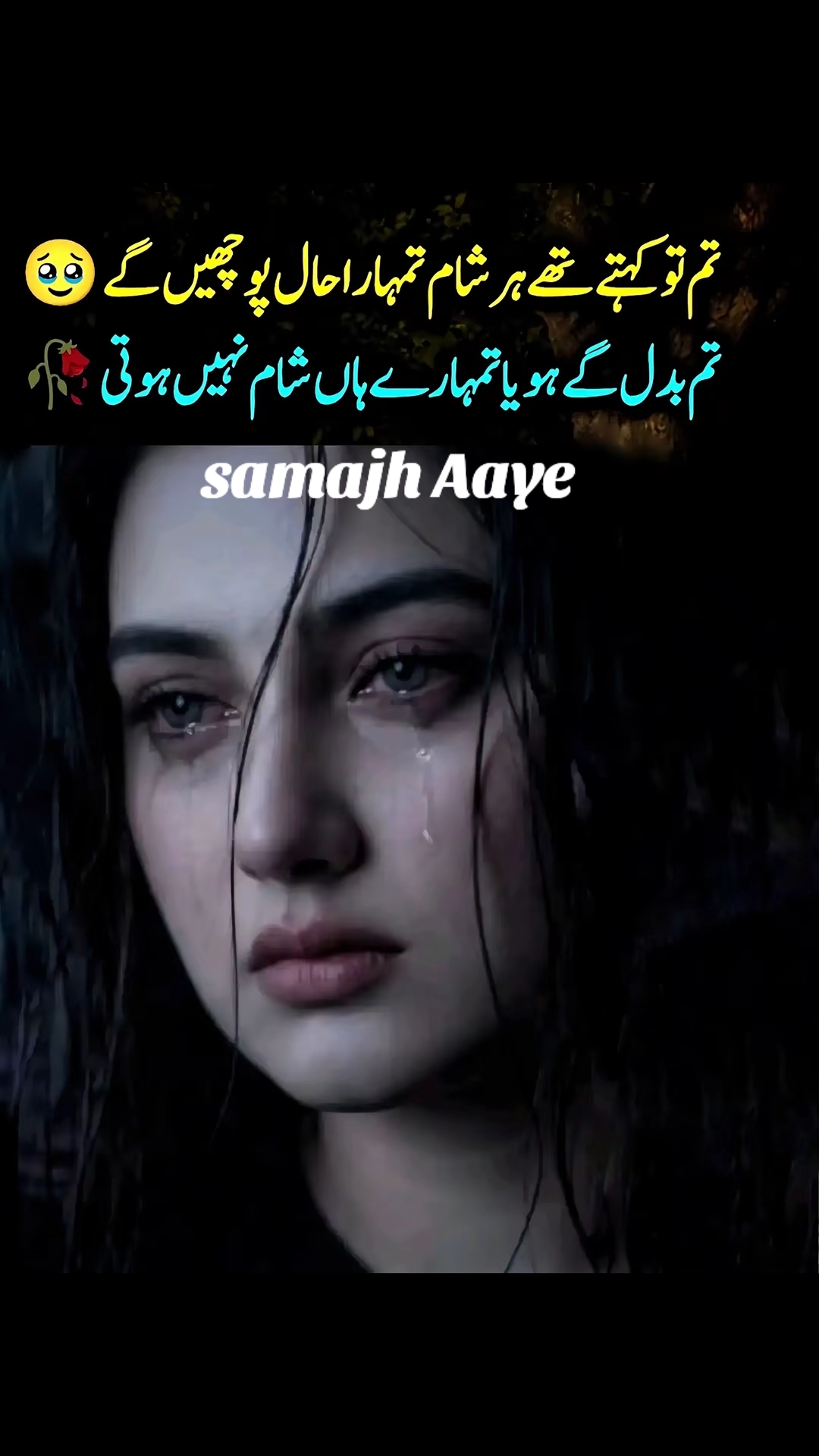 @muhammad Zeeshan