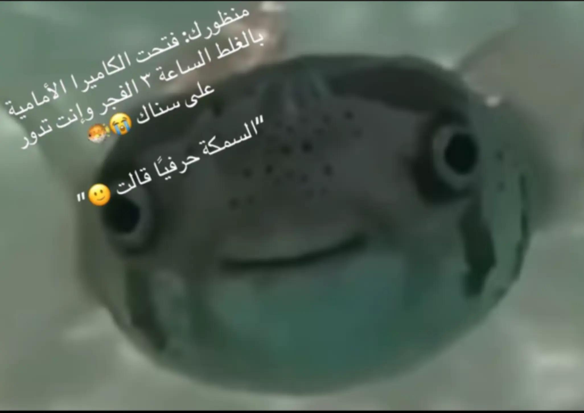 @RelatableTok