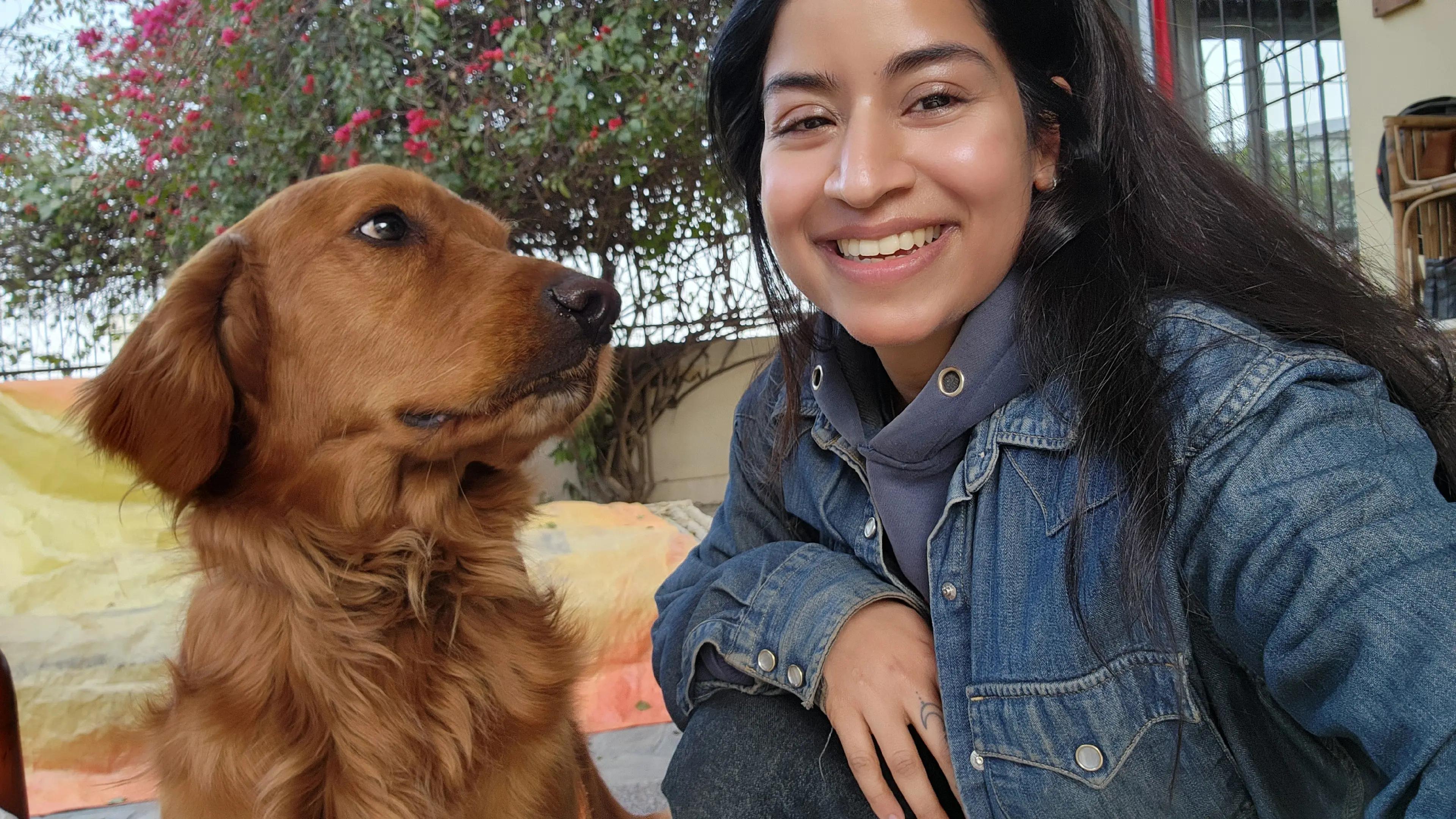 @Abhilasha - DogTrainer