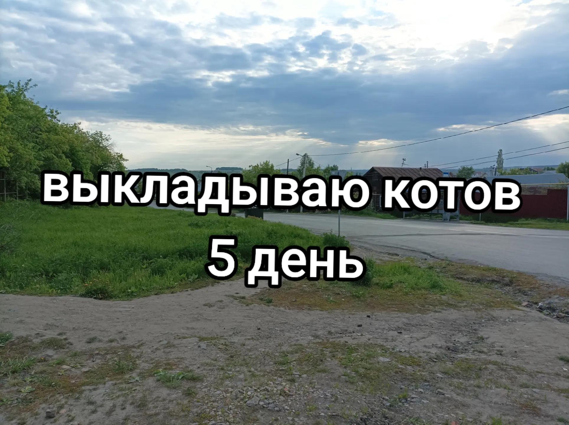 @Доктор Врач &bull; друзья
