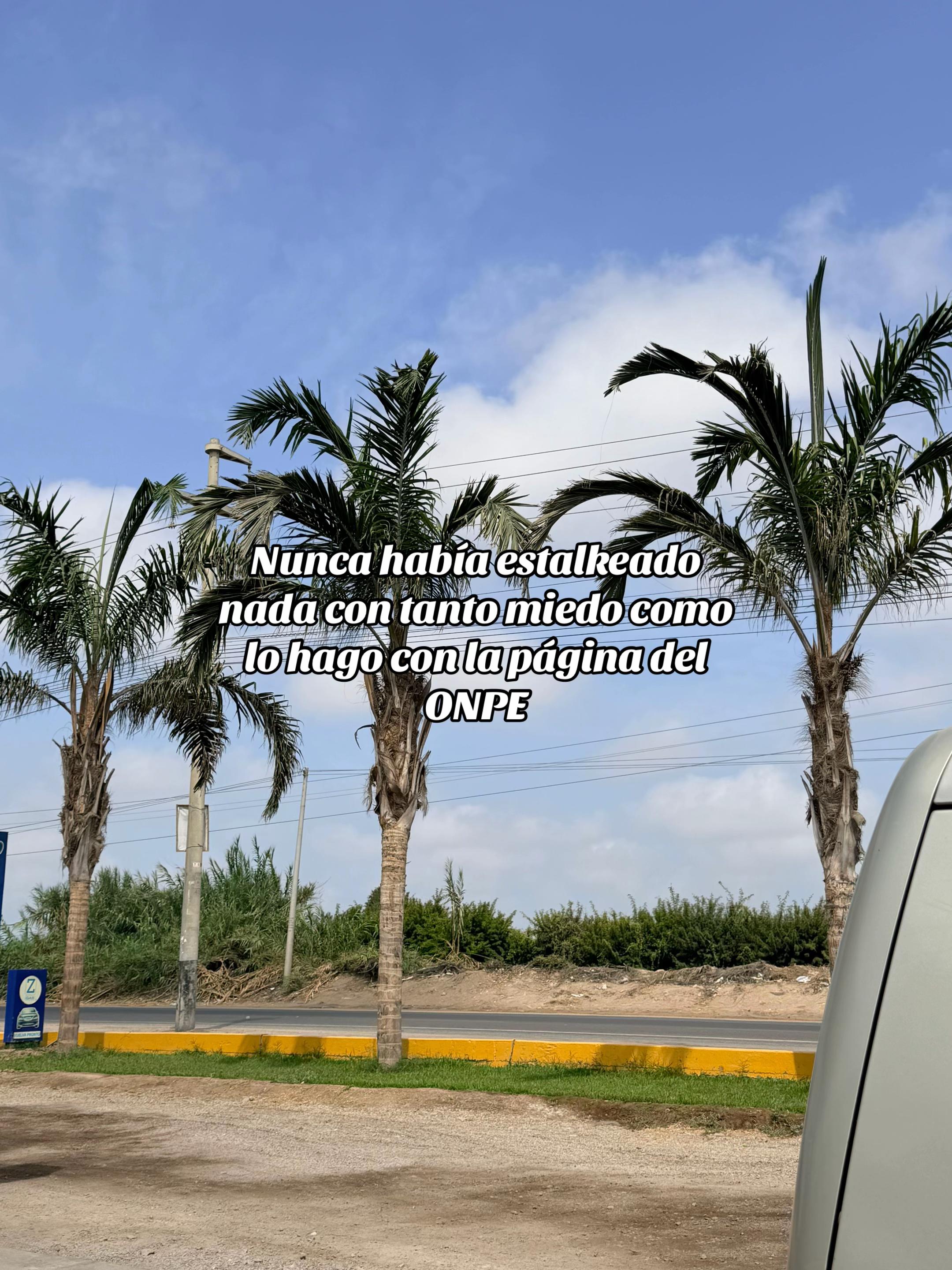 @Obsta. Geisy