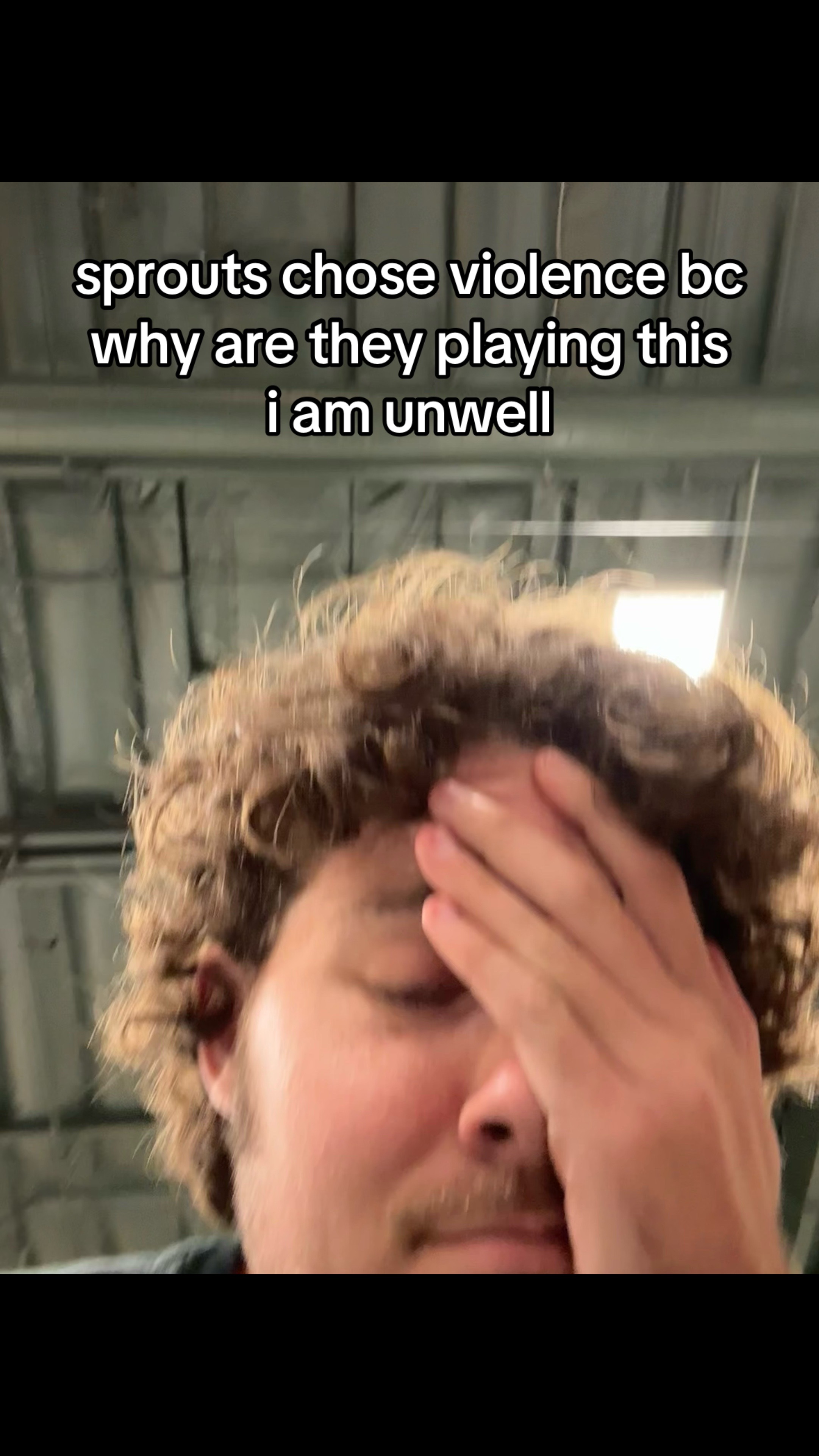@dan