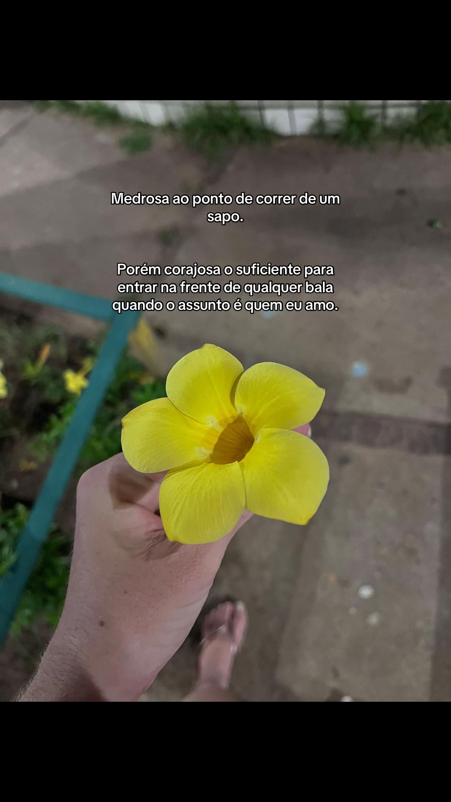 @Ronaria Moura💗
