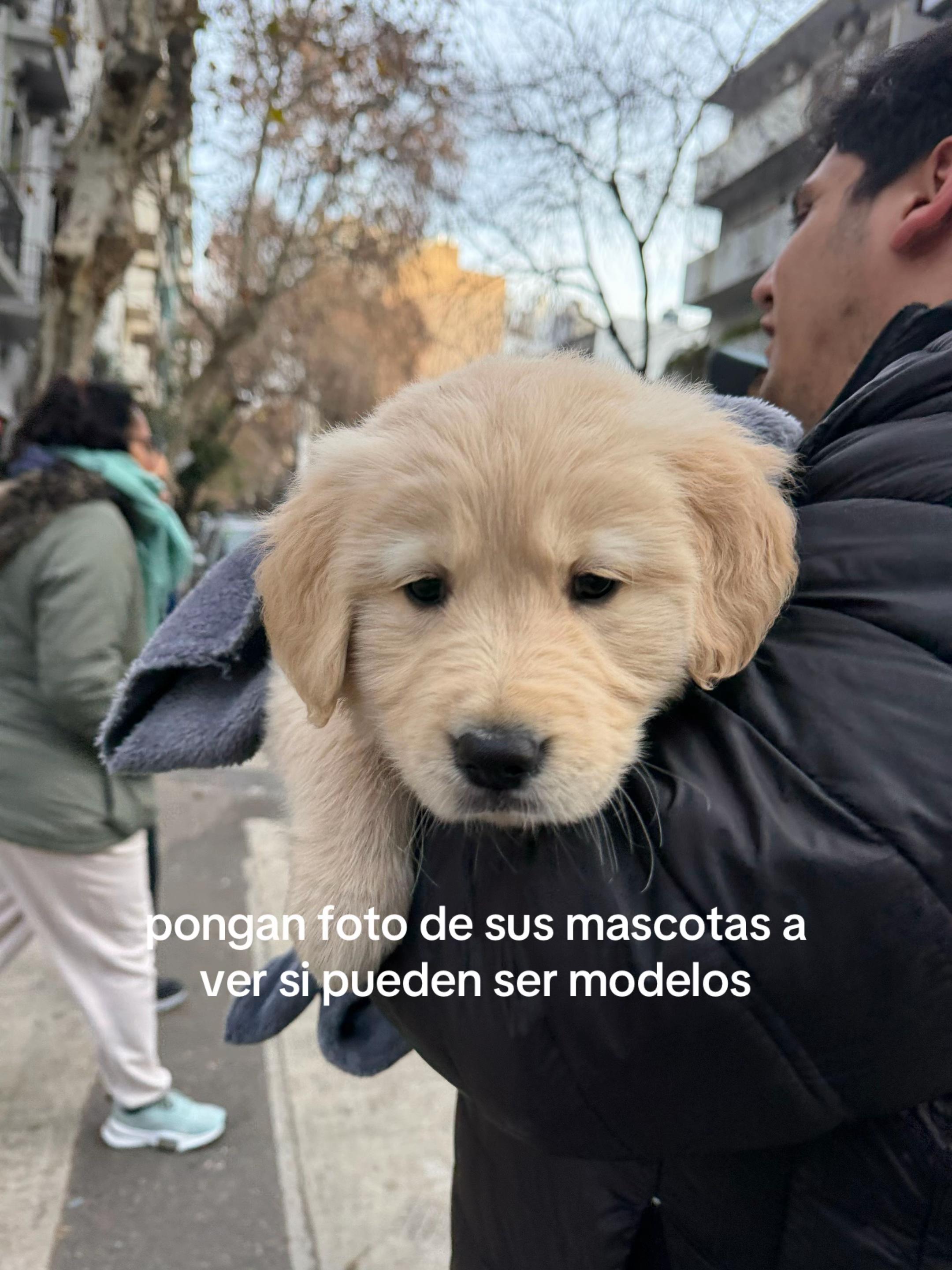 @Panchalagolden