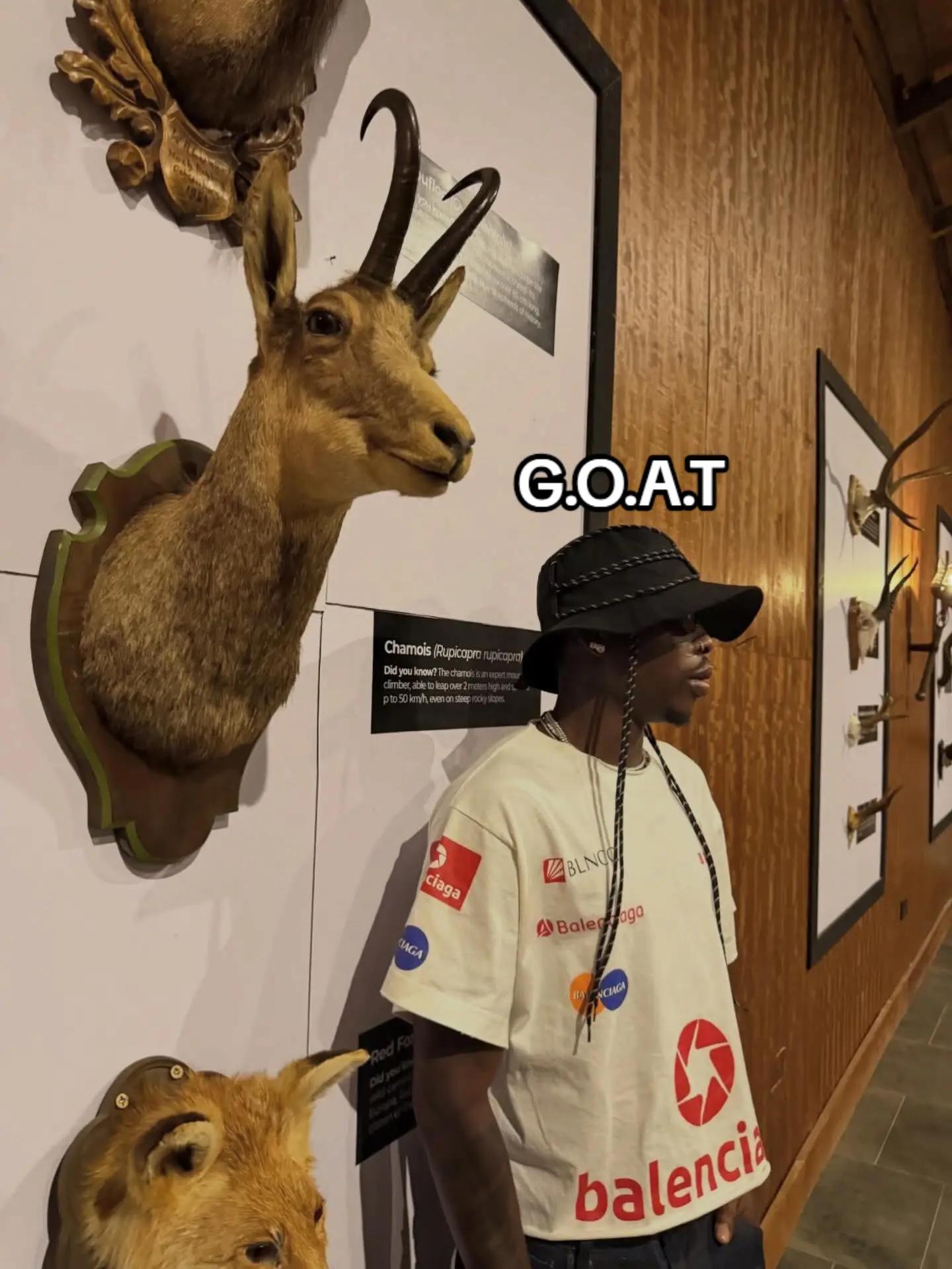 @Fireboymedia