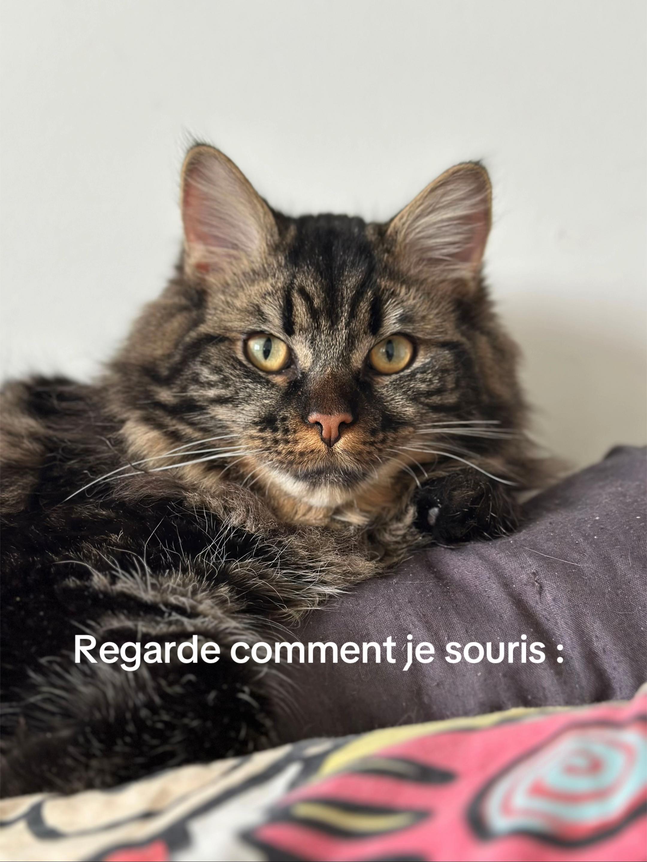 @Louloutte 🧚♀️