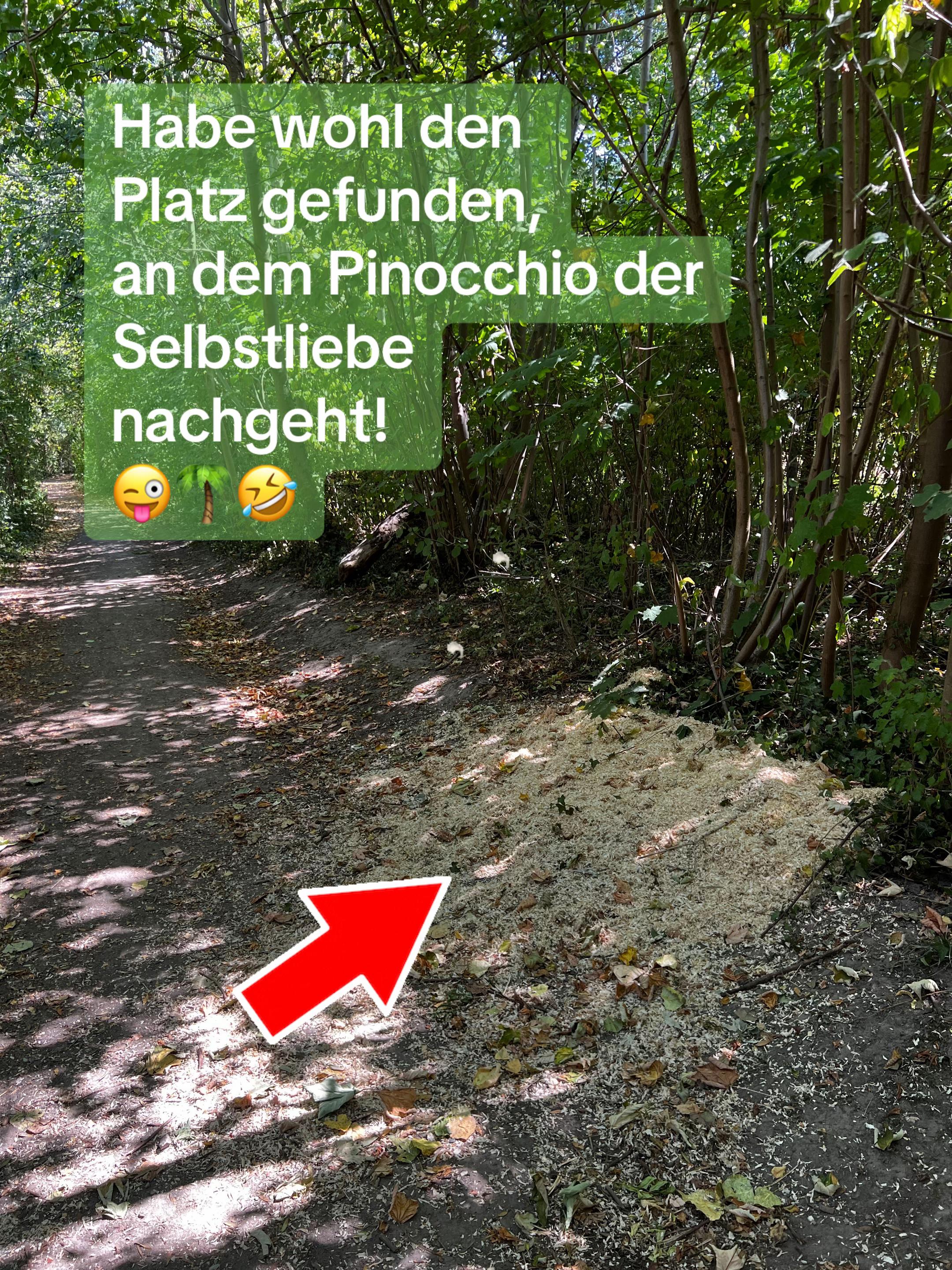 @Birkenwald74