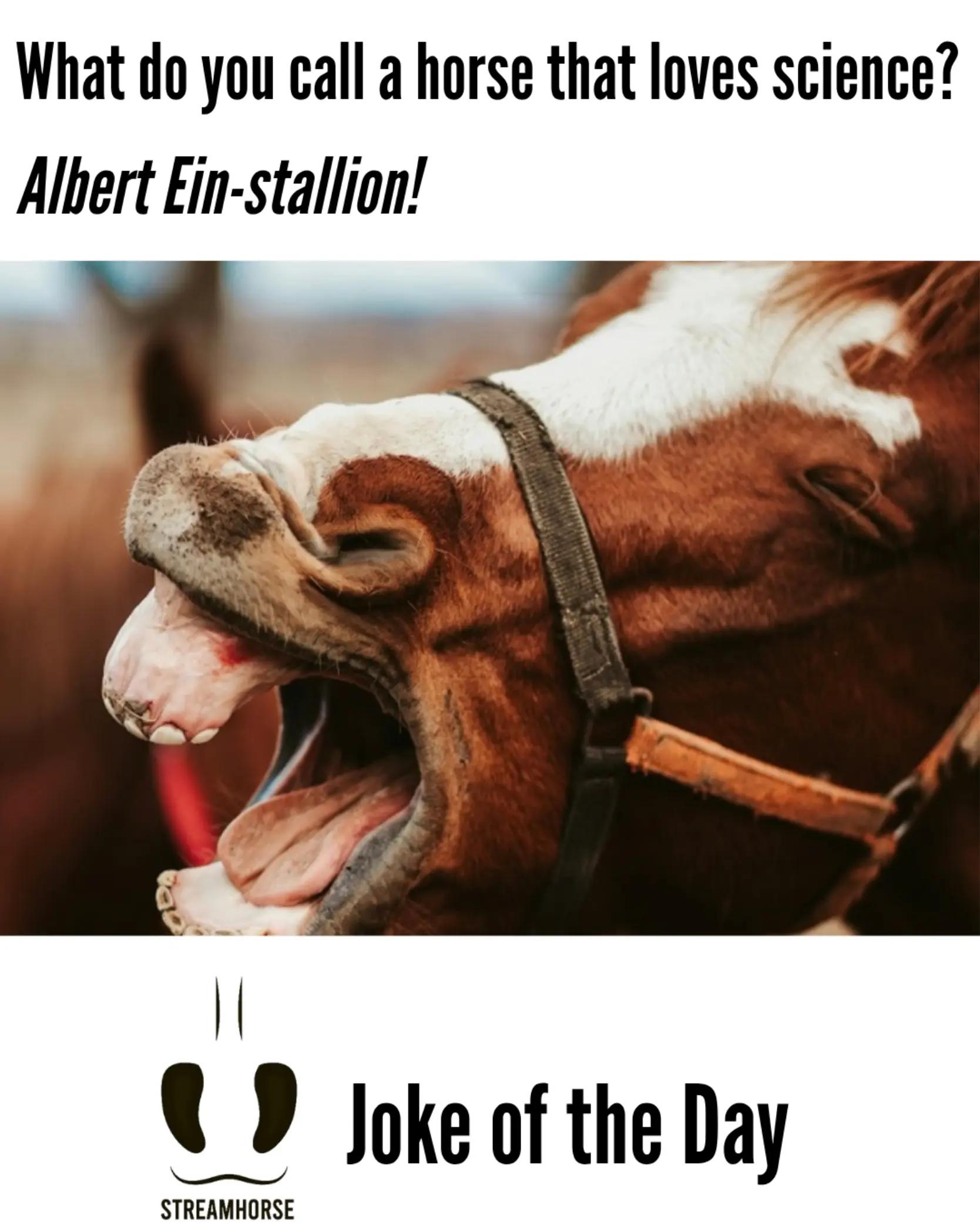 @streamhorse
