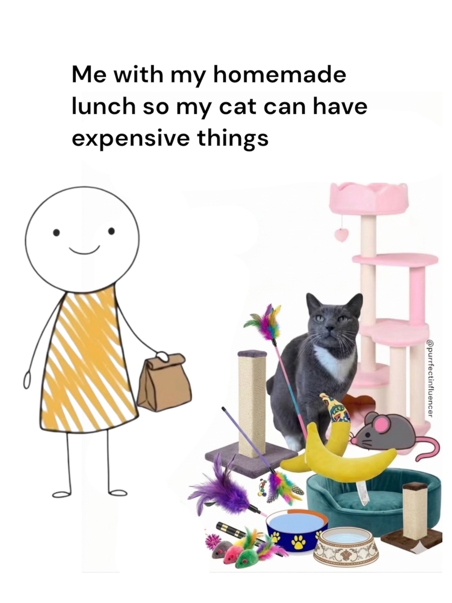 @purrfectinfluencer