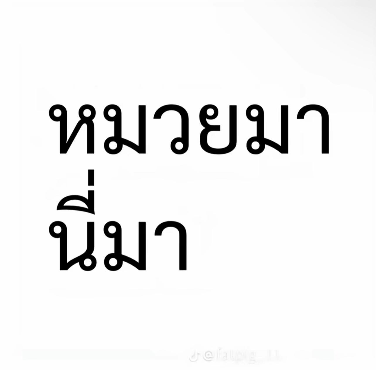 @เก้อเลี้ยงแมวเจ็ดตัว