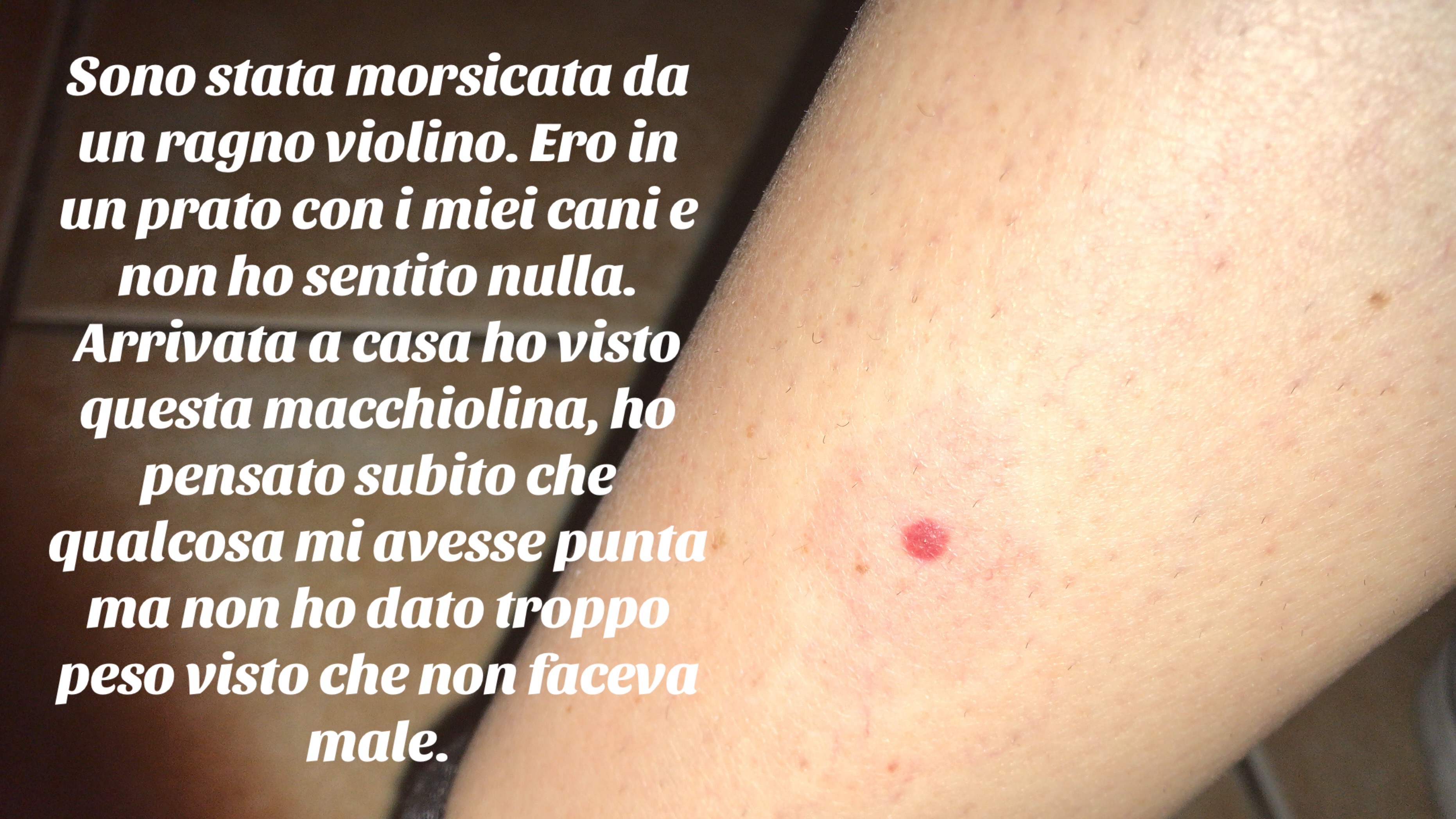 @Letizia Munari