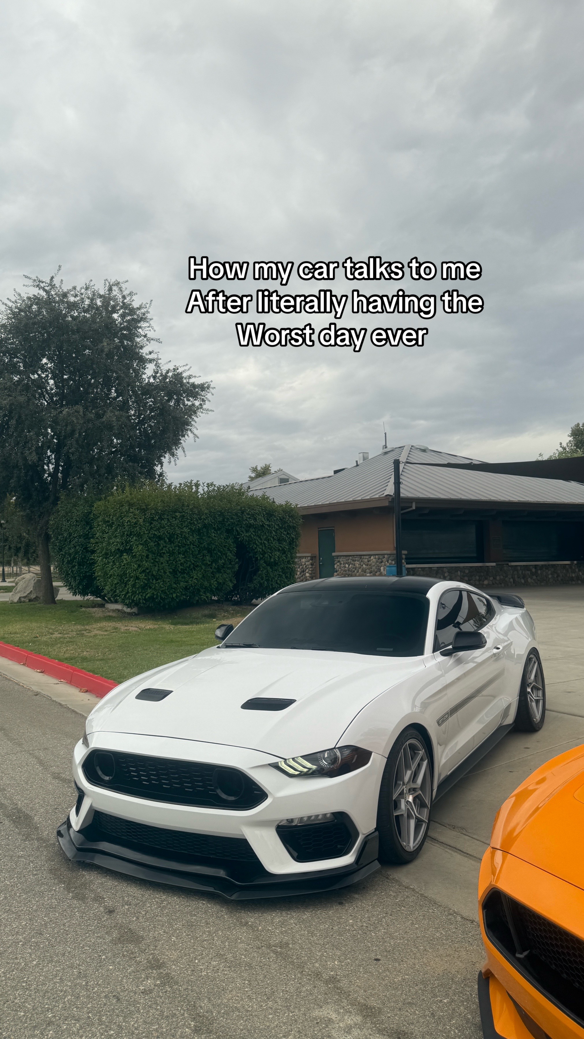 @Jalen.cs