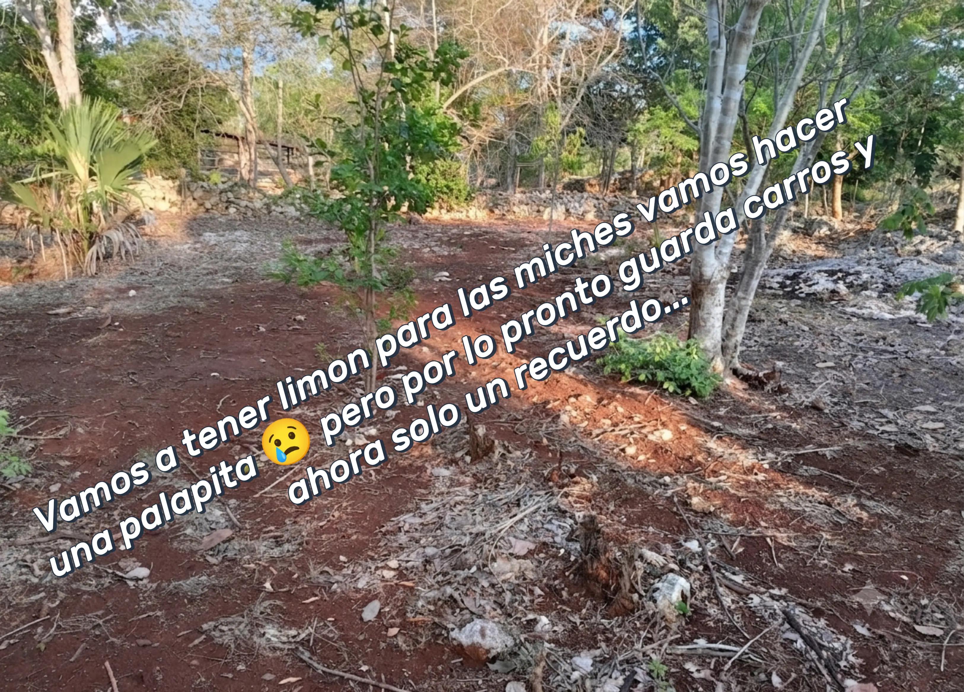 @Lorian Fabiola