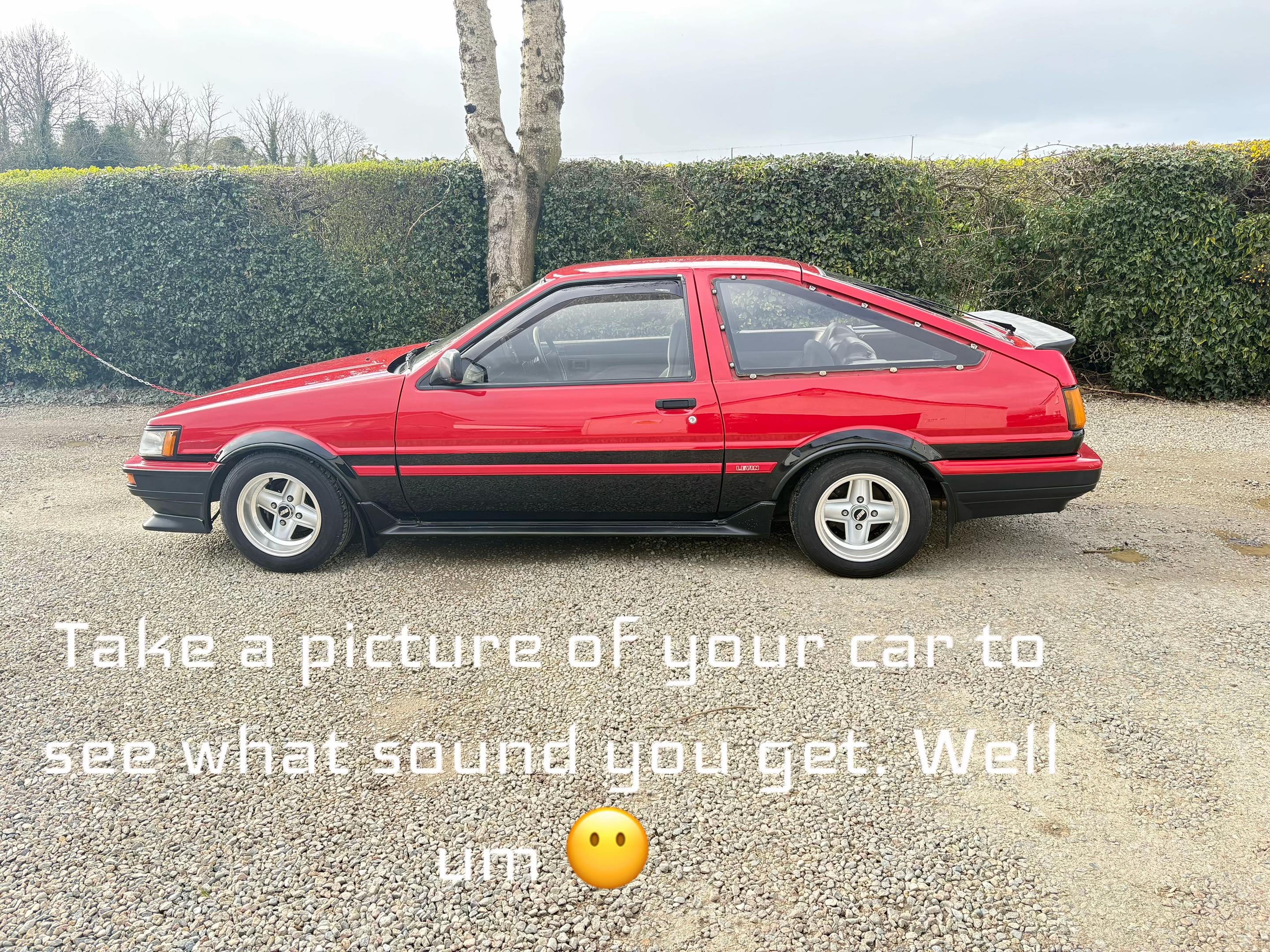 @Sarah Quinn💁🏼♀️