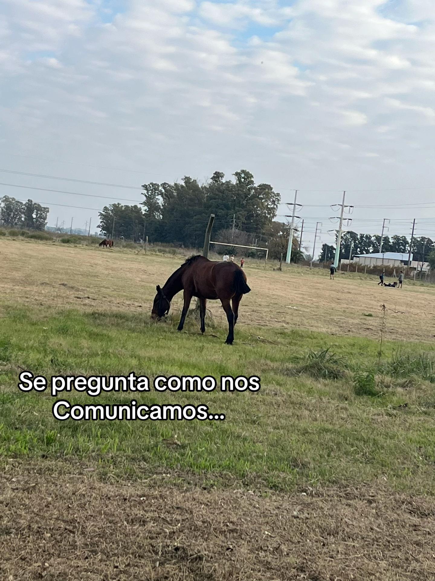 @Compartidos✌️✌️