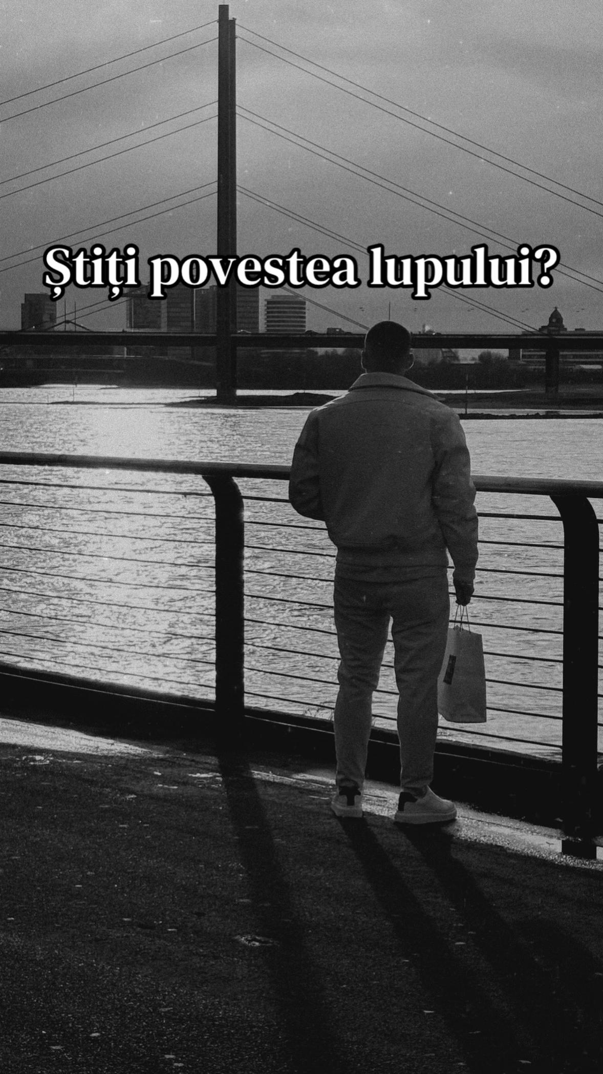 @Gabriel Vass