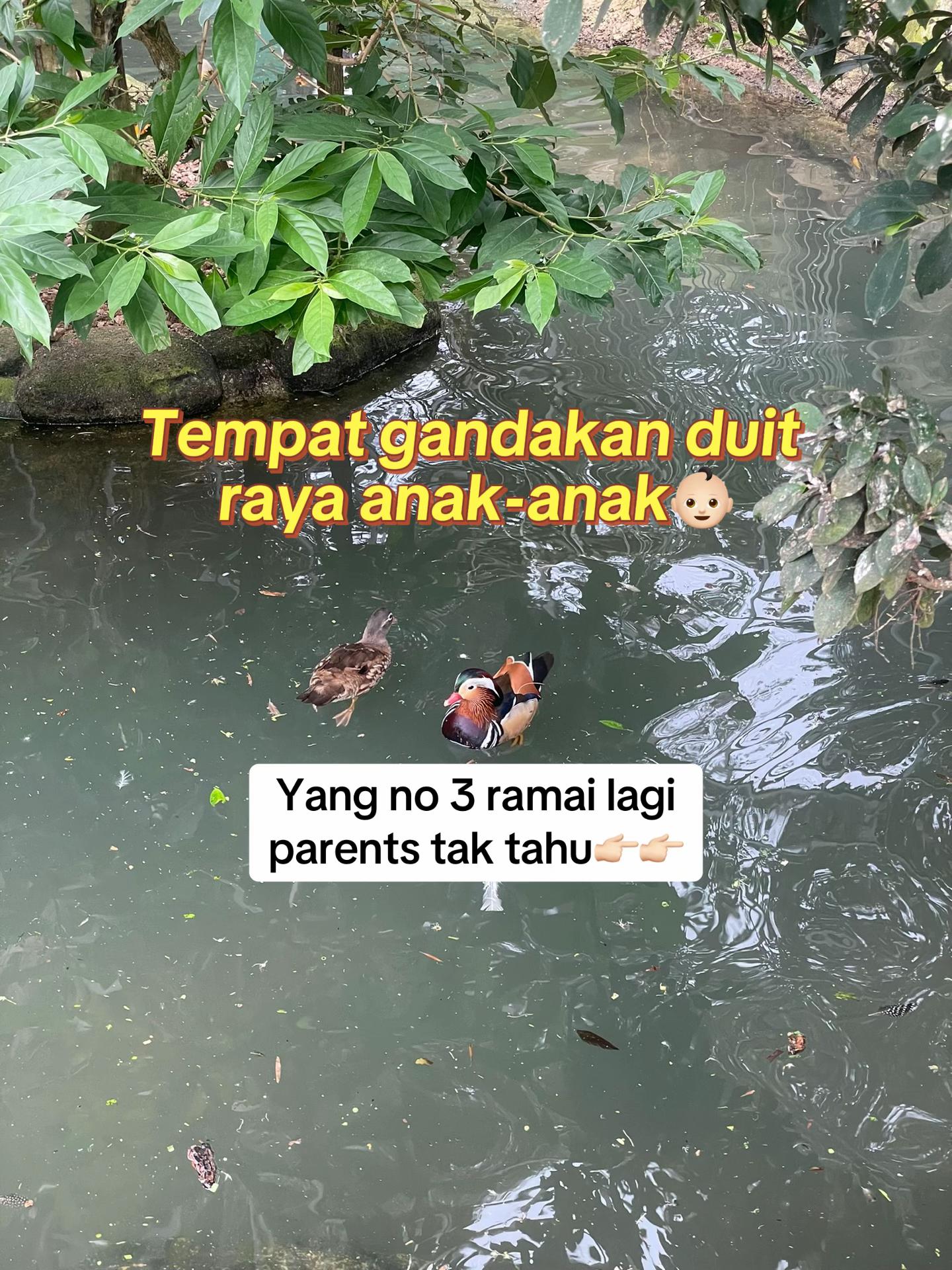 @Ainnur Najmie | Public Gold