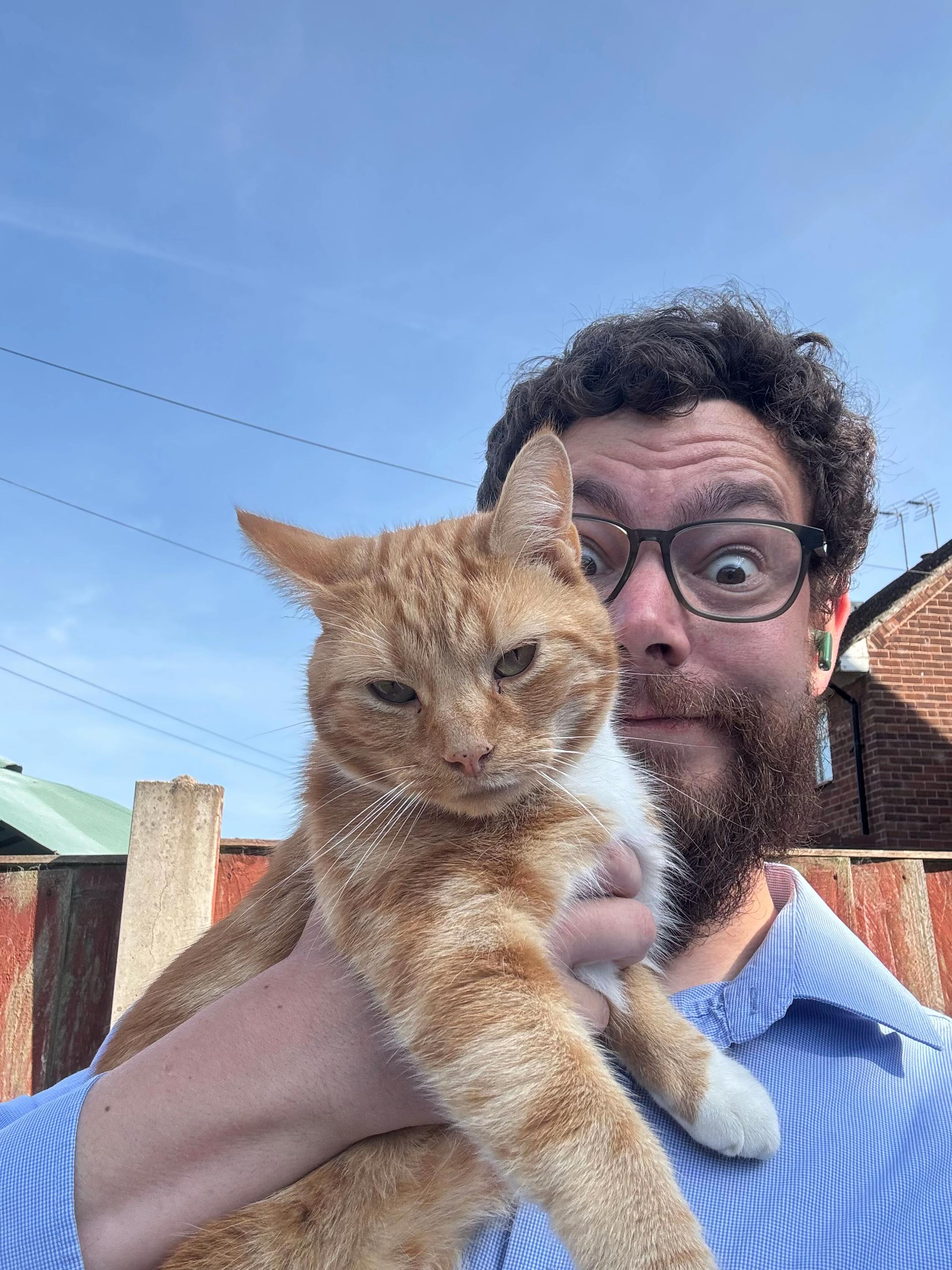 @Freddie the orange cat