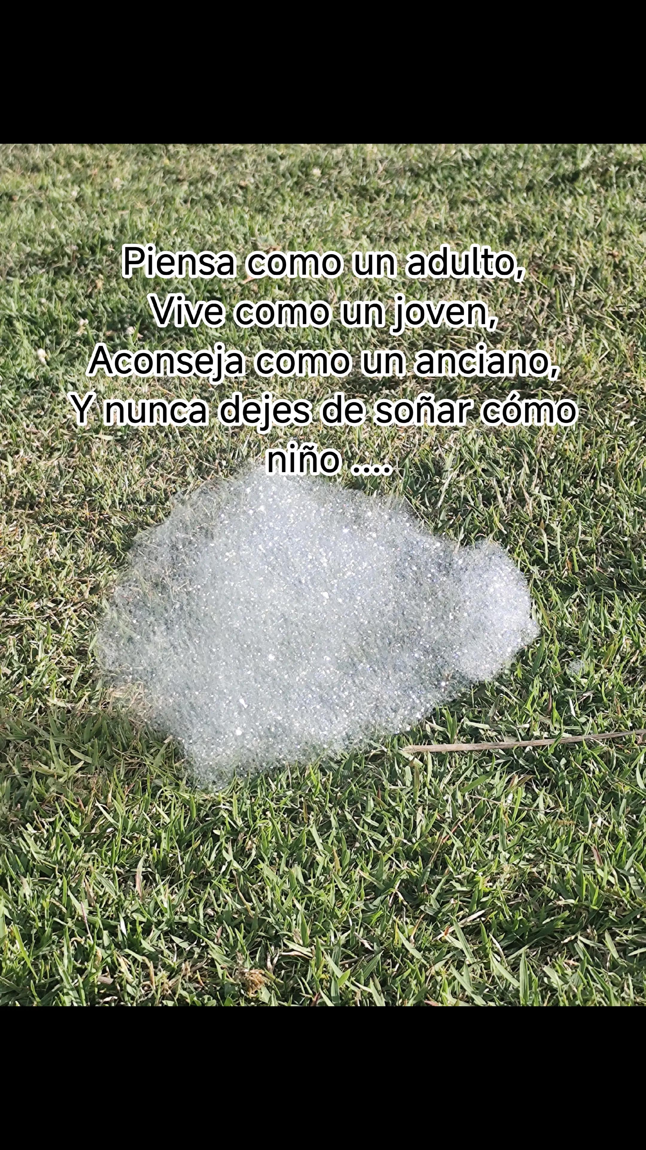 @Alda