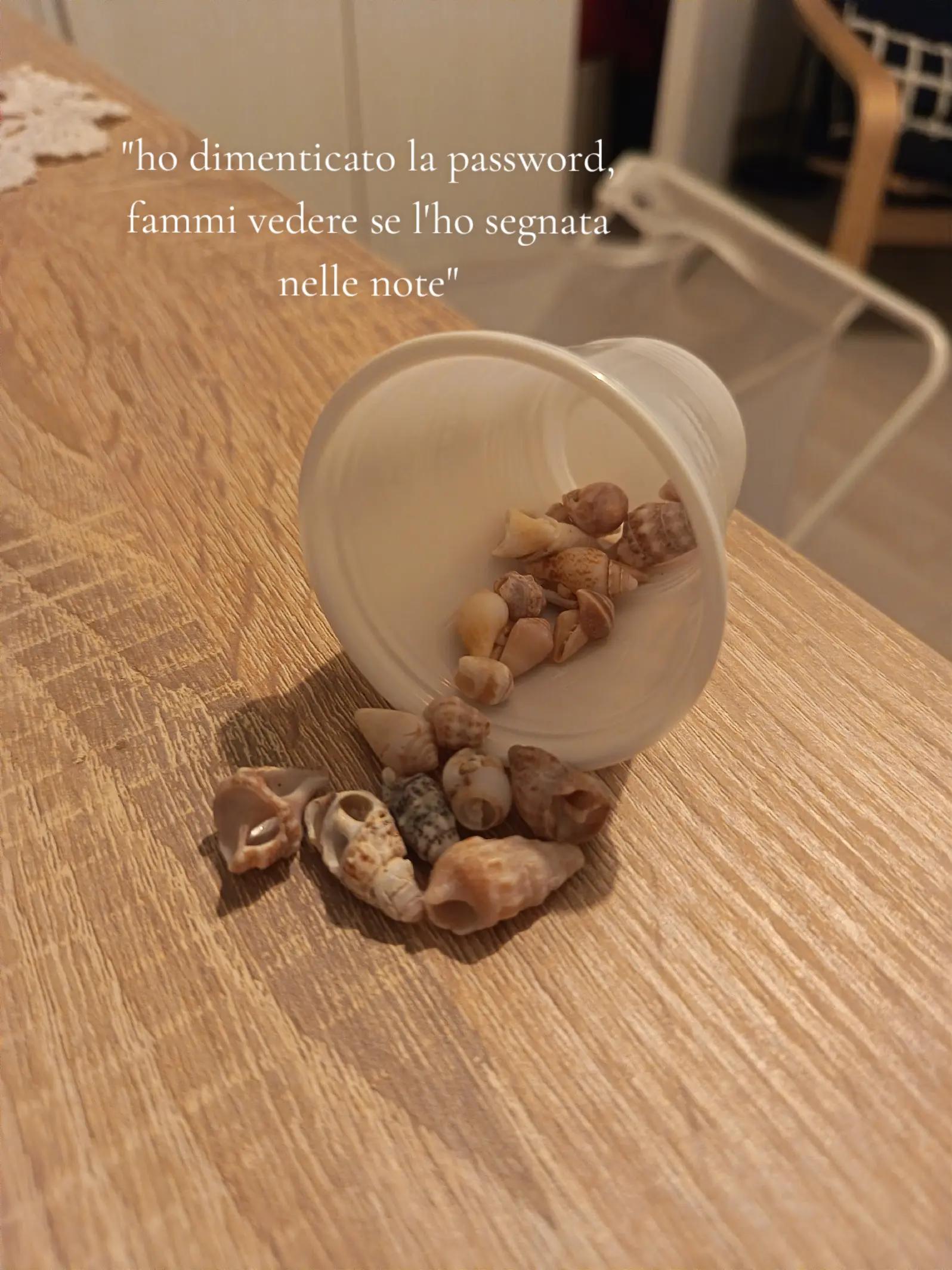 @🤍۶ৎ~𝗴𝑖𝑜~𑣲🤍