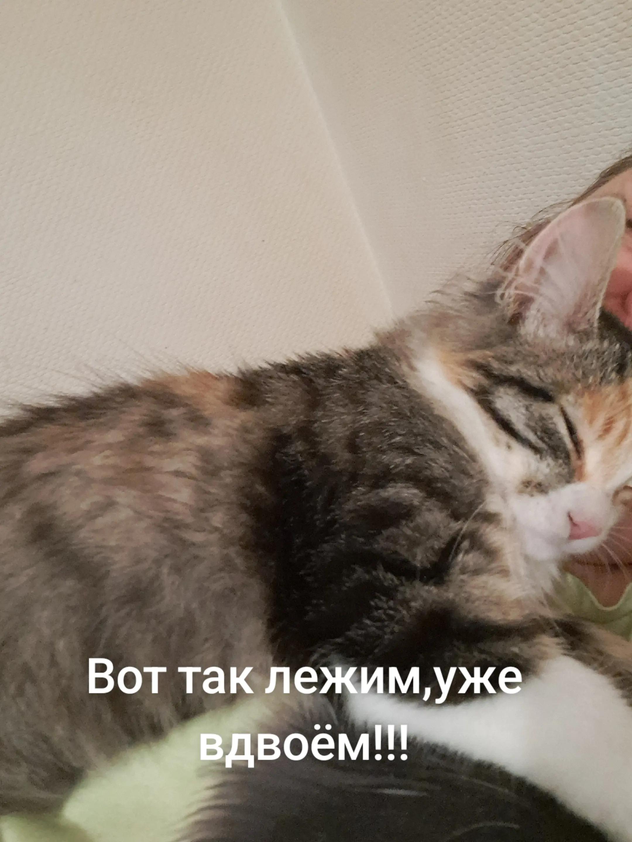@RUSSIAN_GG
