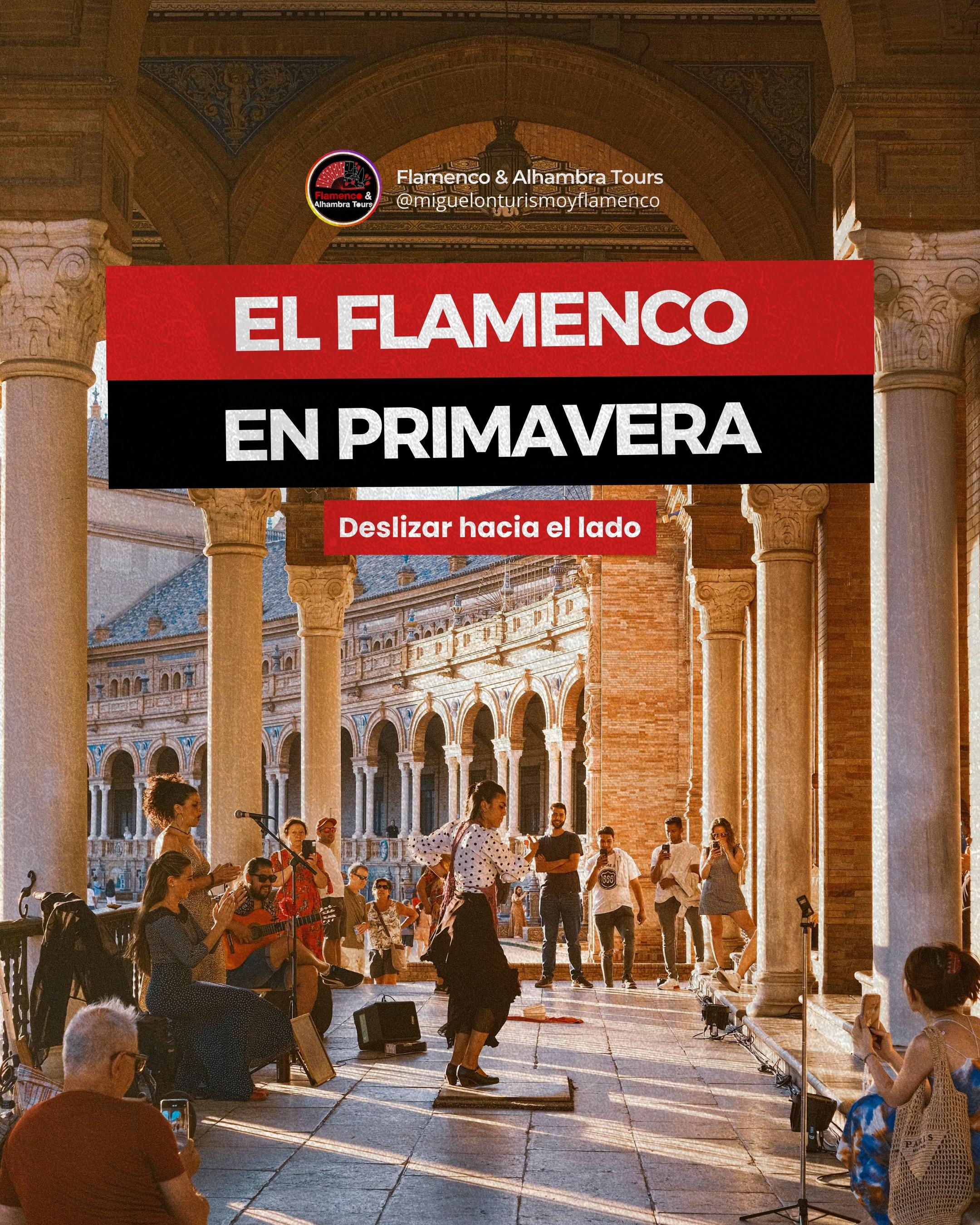 @Flamenco & Alhambra Tours