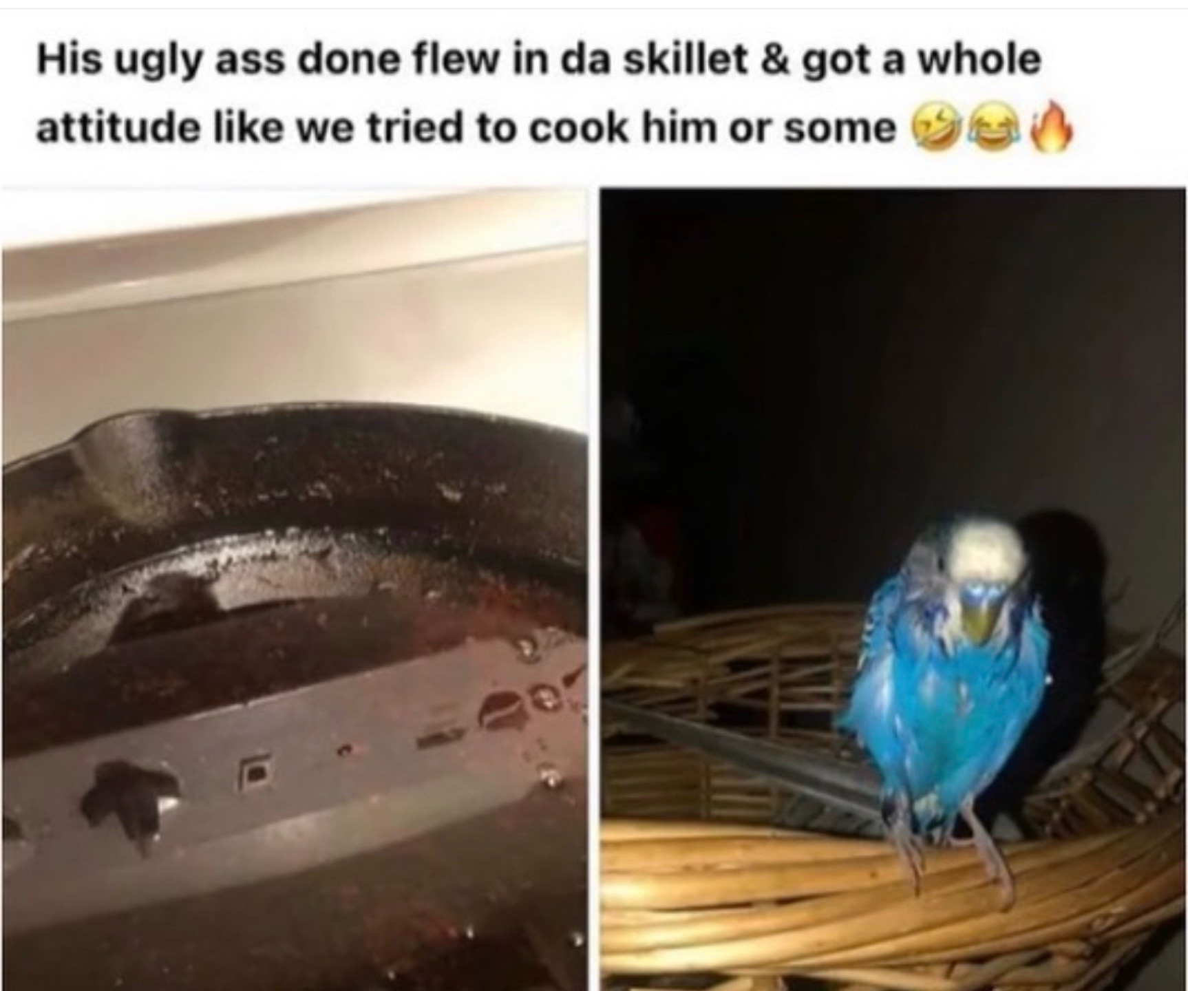 @jakefromstatefarm8592 🥷
