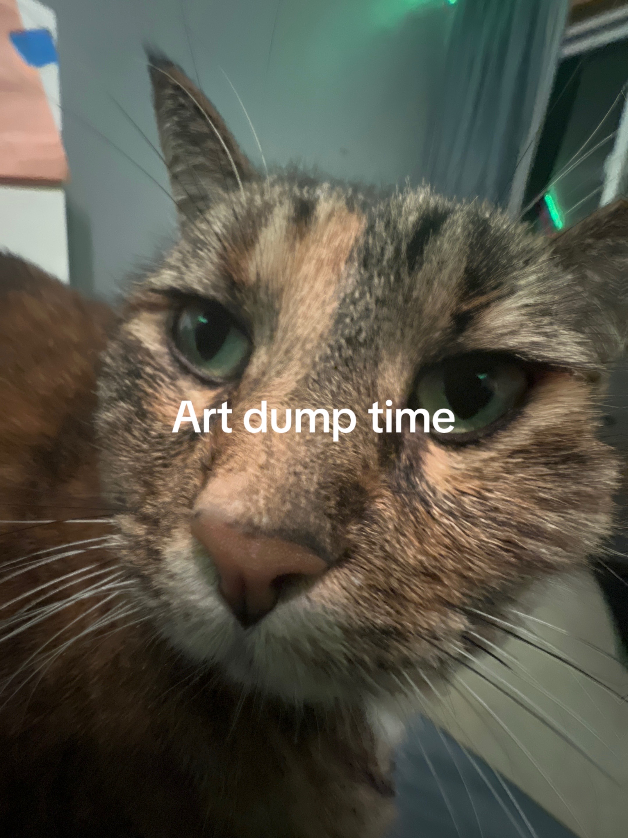 @ken