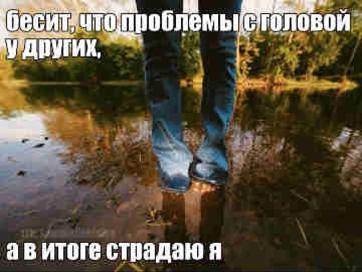 @коллекционер щп