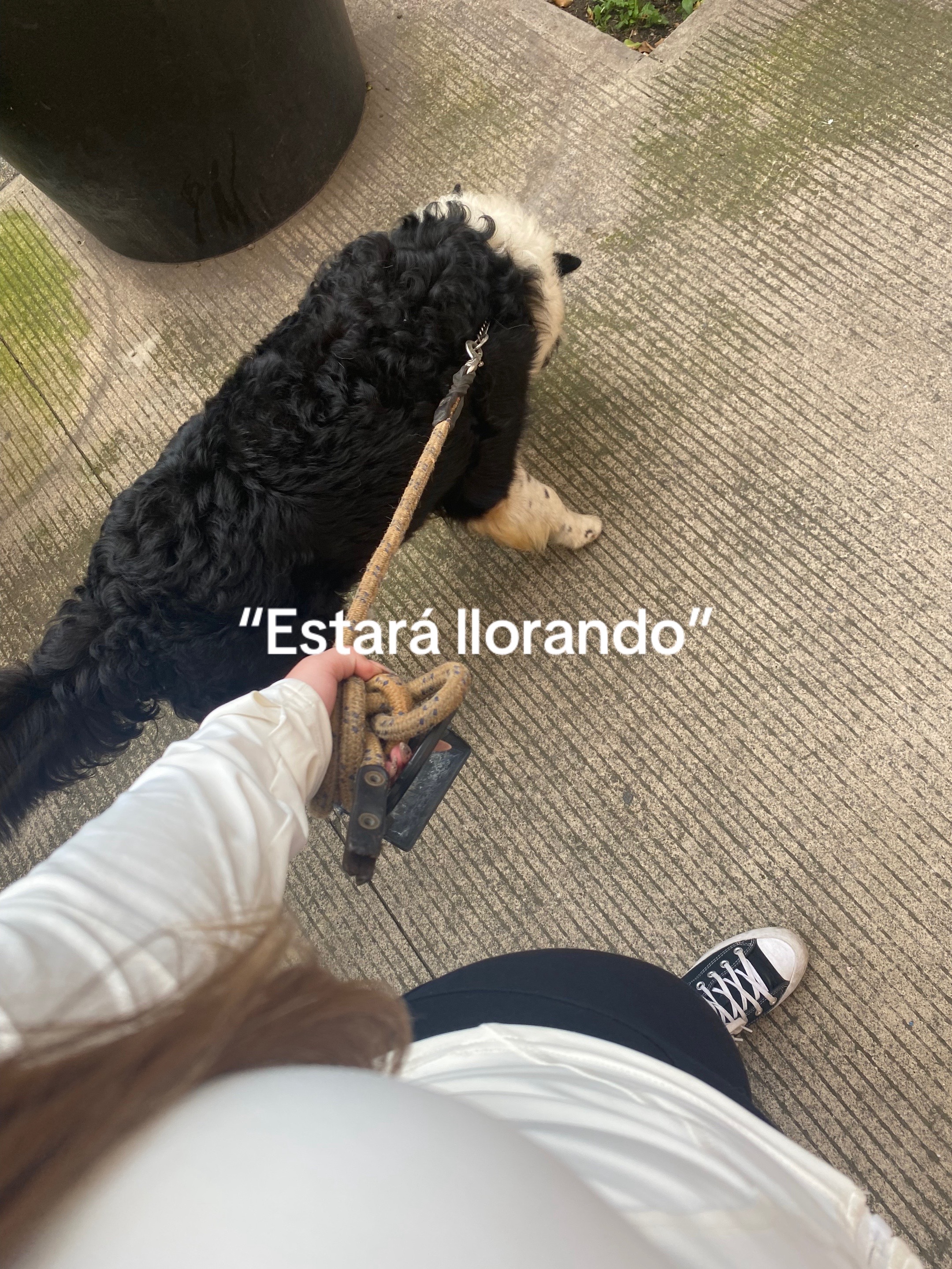 @Beltrán 🫀