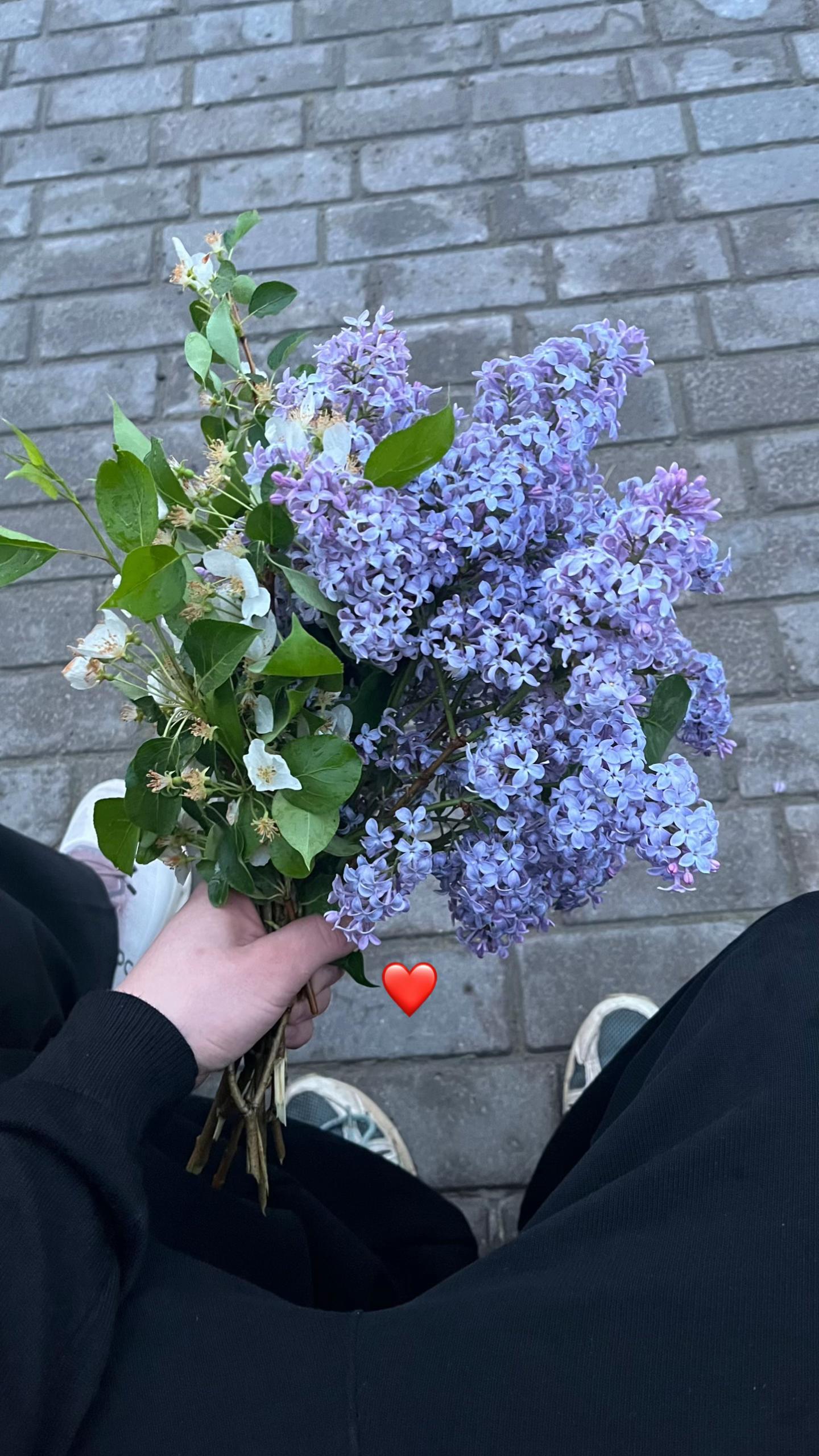 @qwutrixx