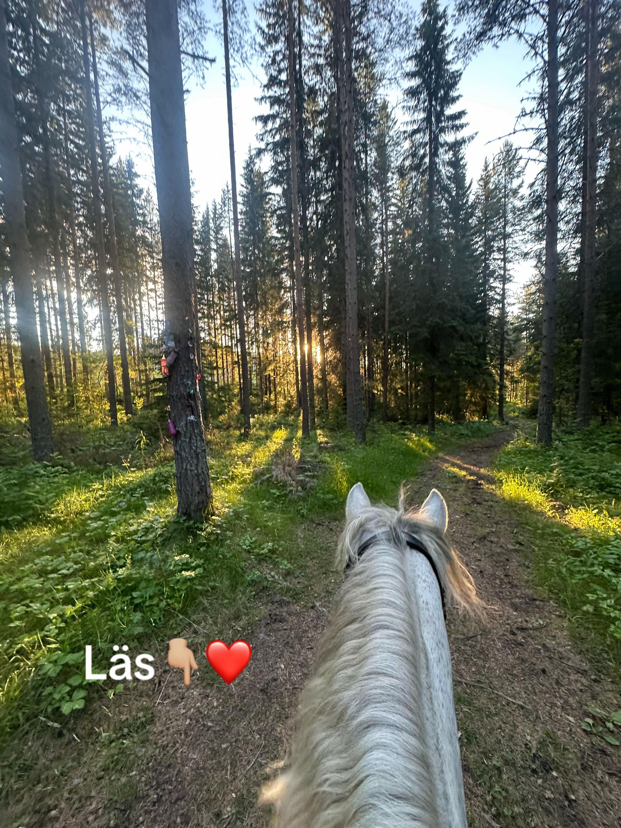 @🇸🇪Lova Kyle🇸🇪