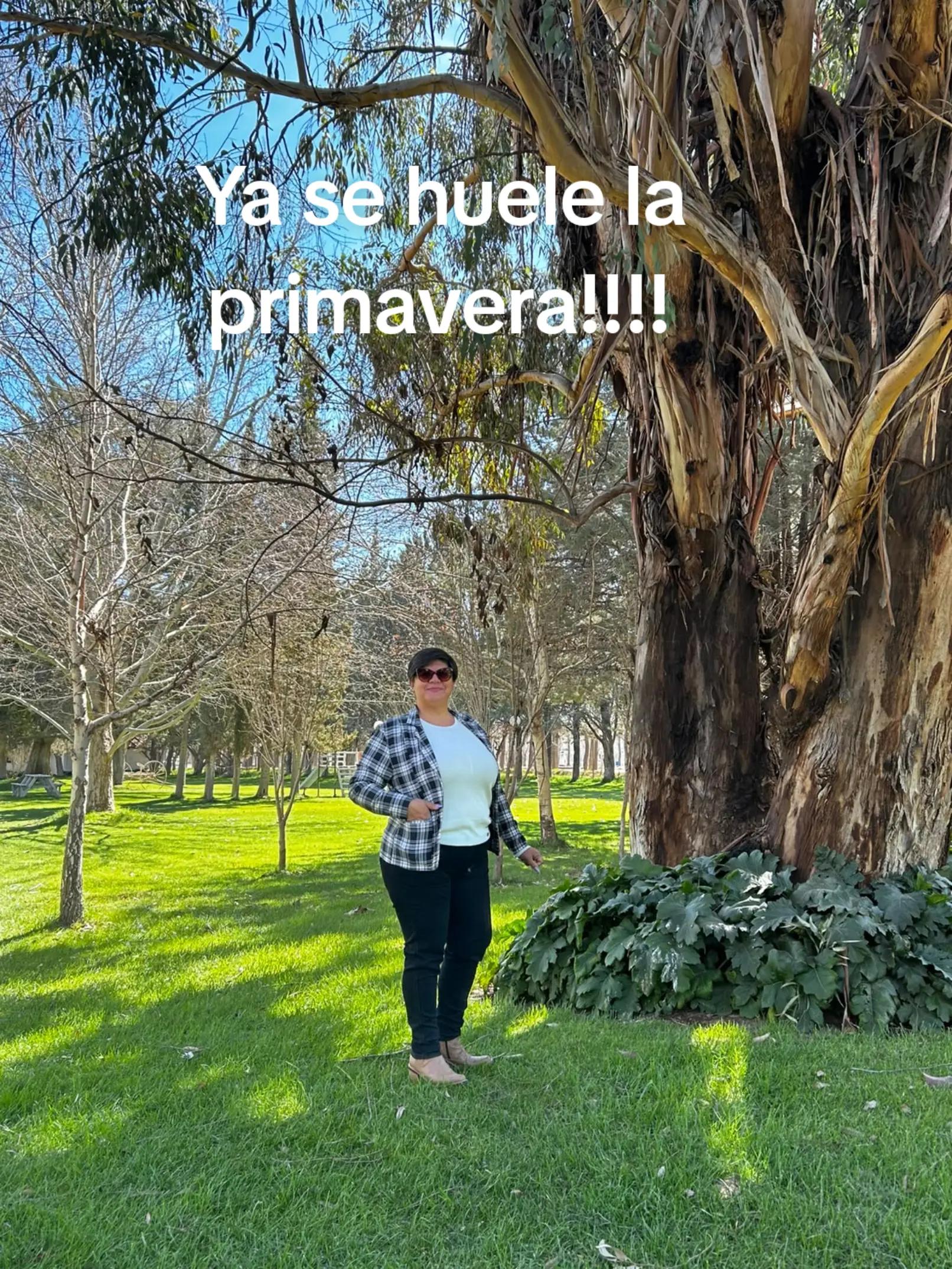 @Alejandra