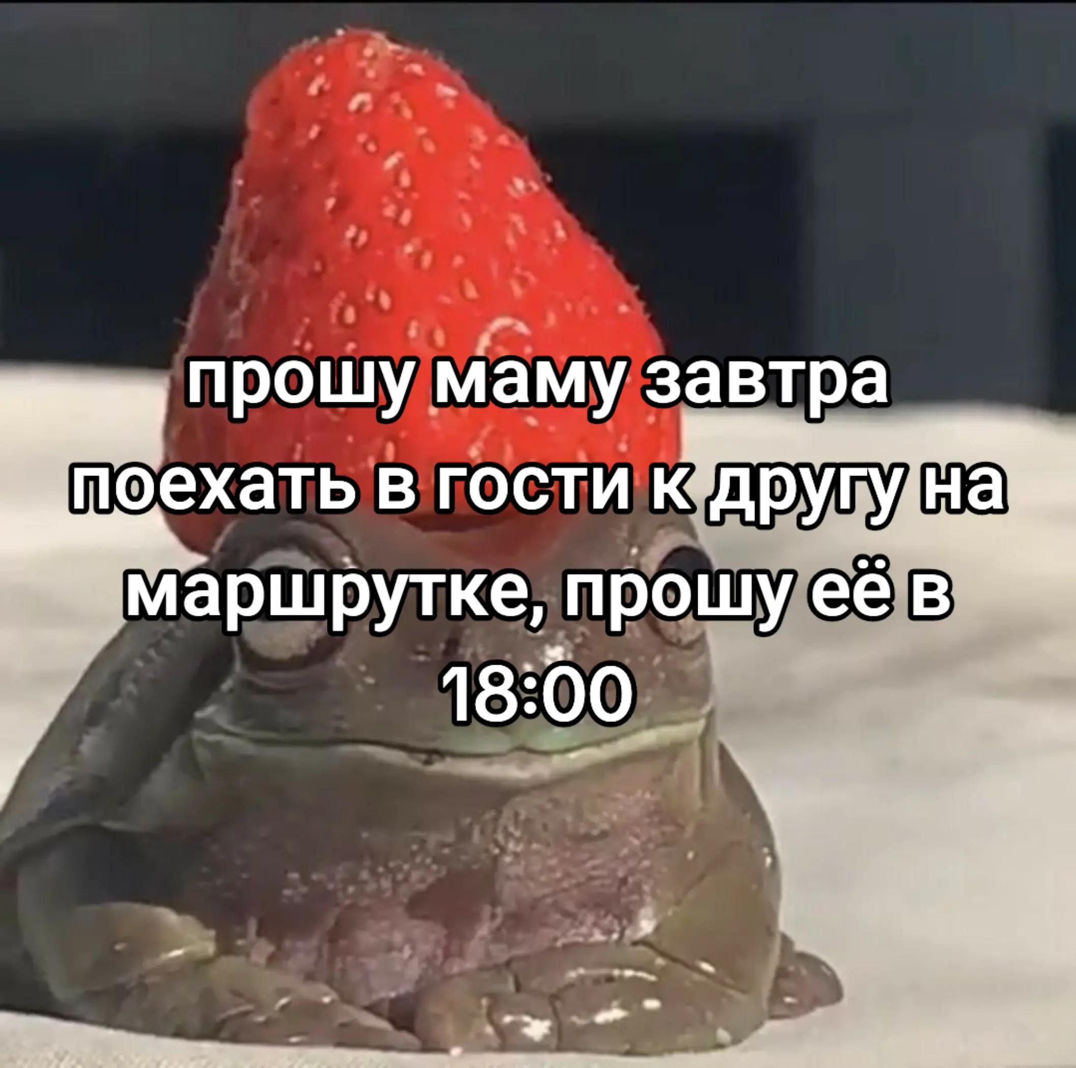 @вафля🧇