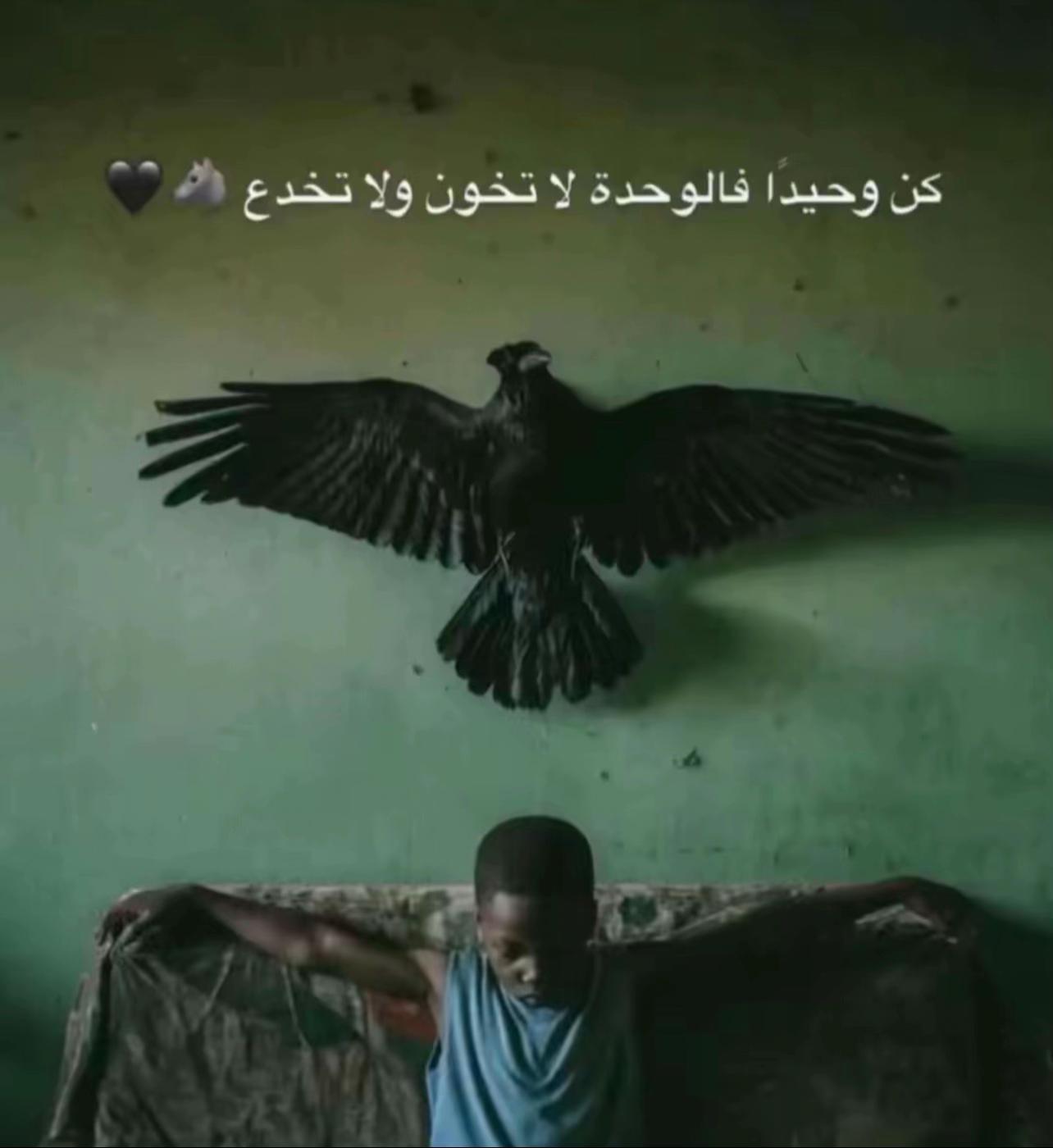 @๐๐MOHAMMED๐๐