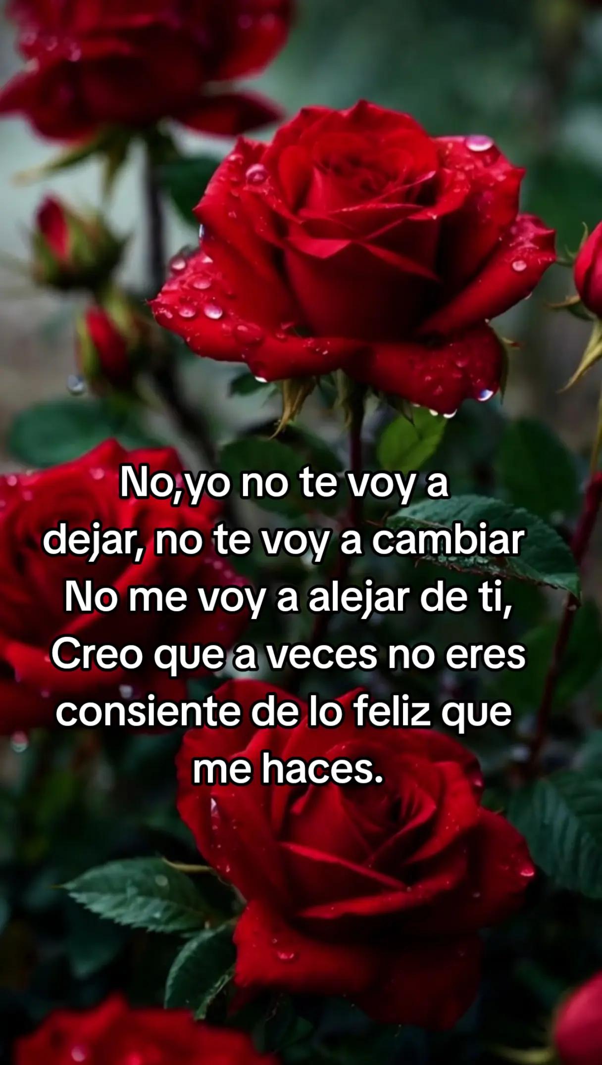 @Rafael V.J.(Lobito)